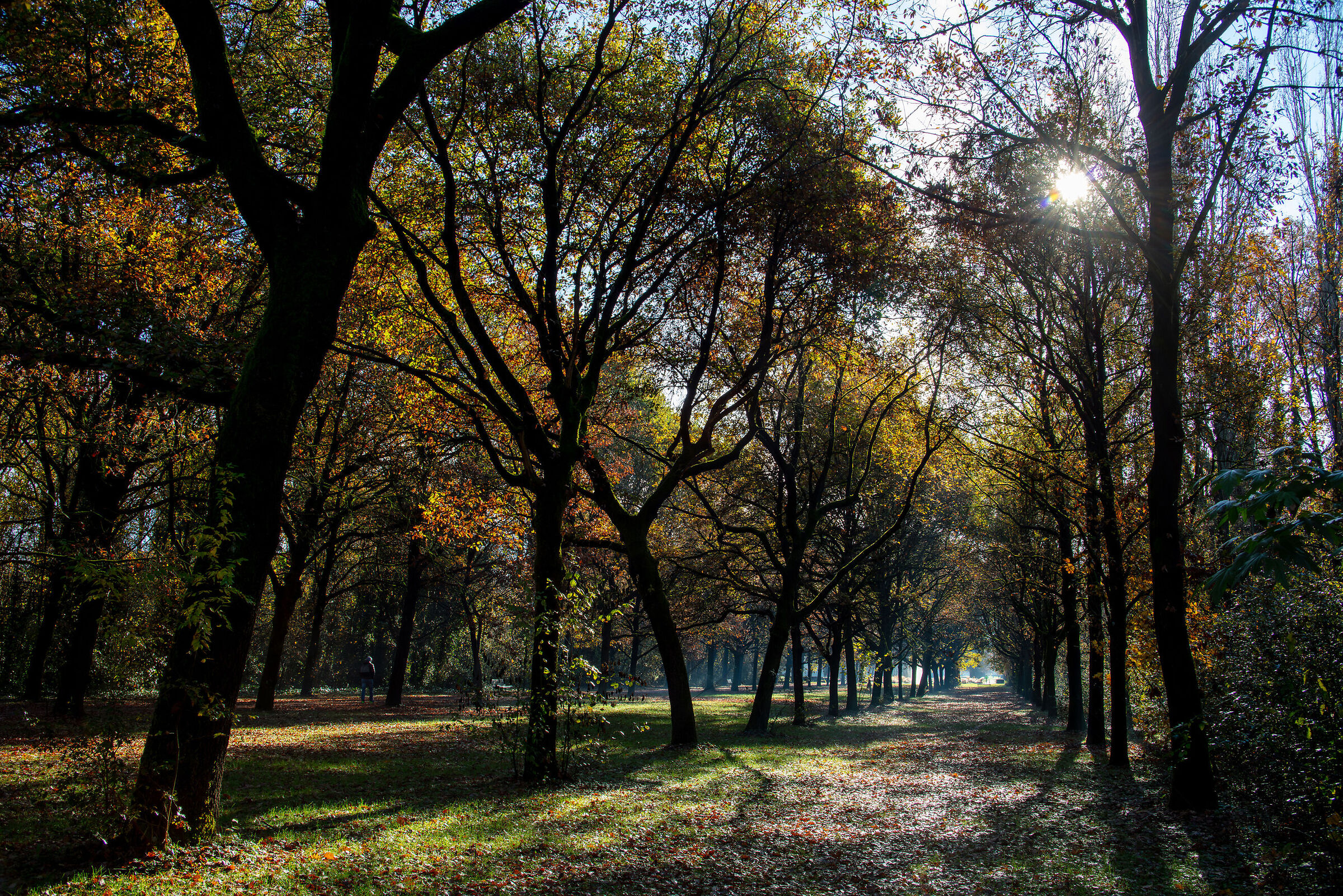 North Milan Park