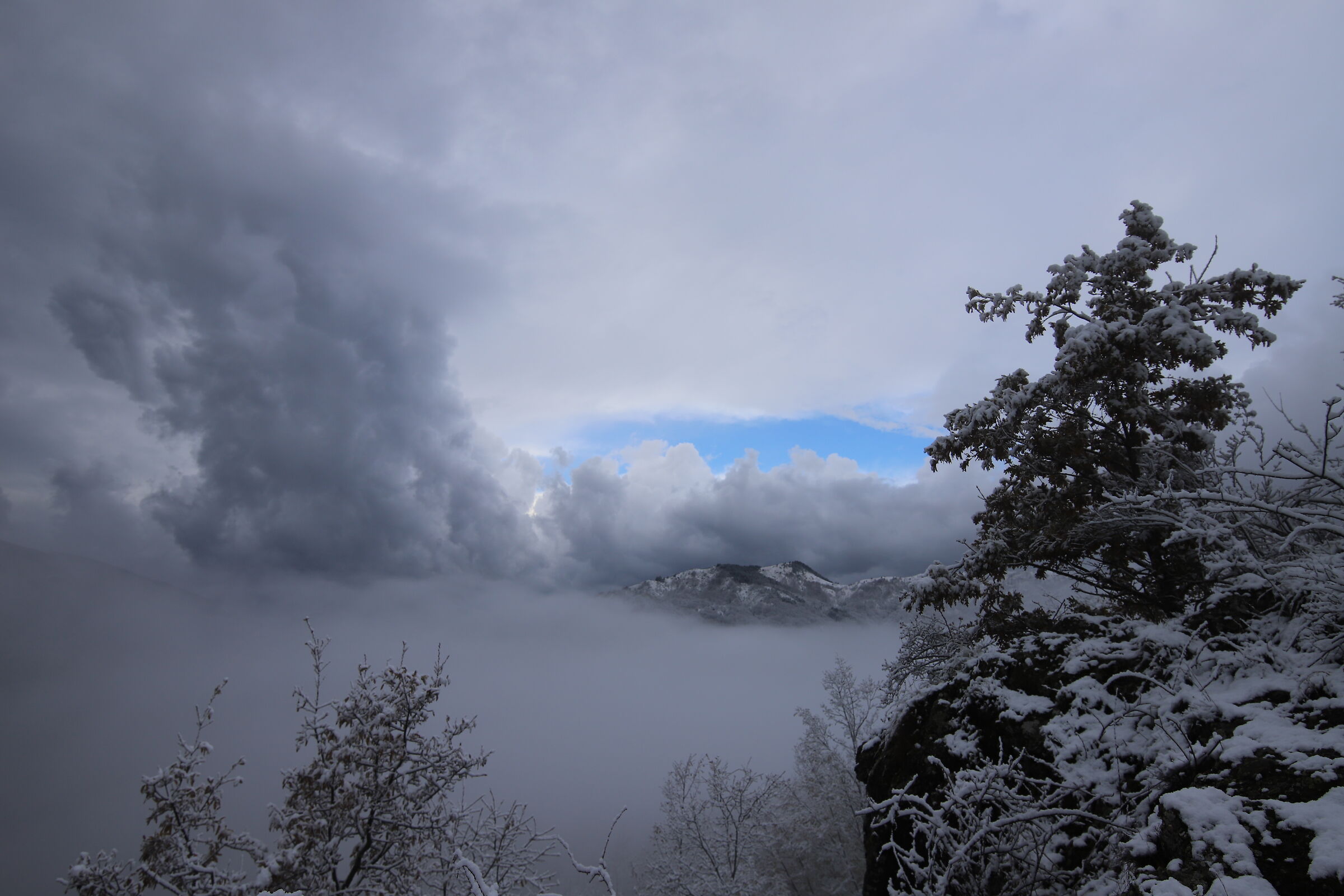 Untitled Photo