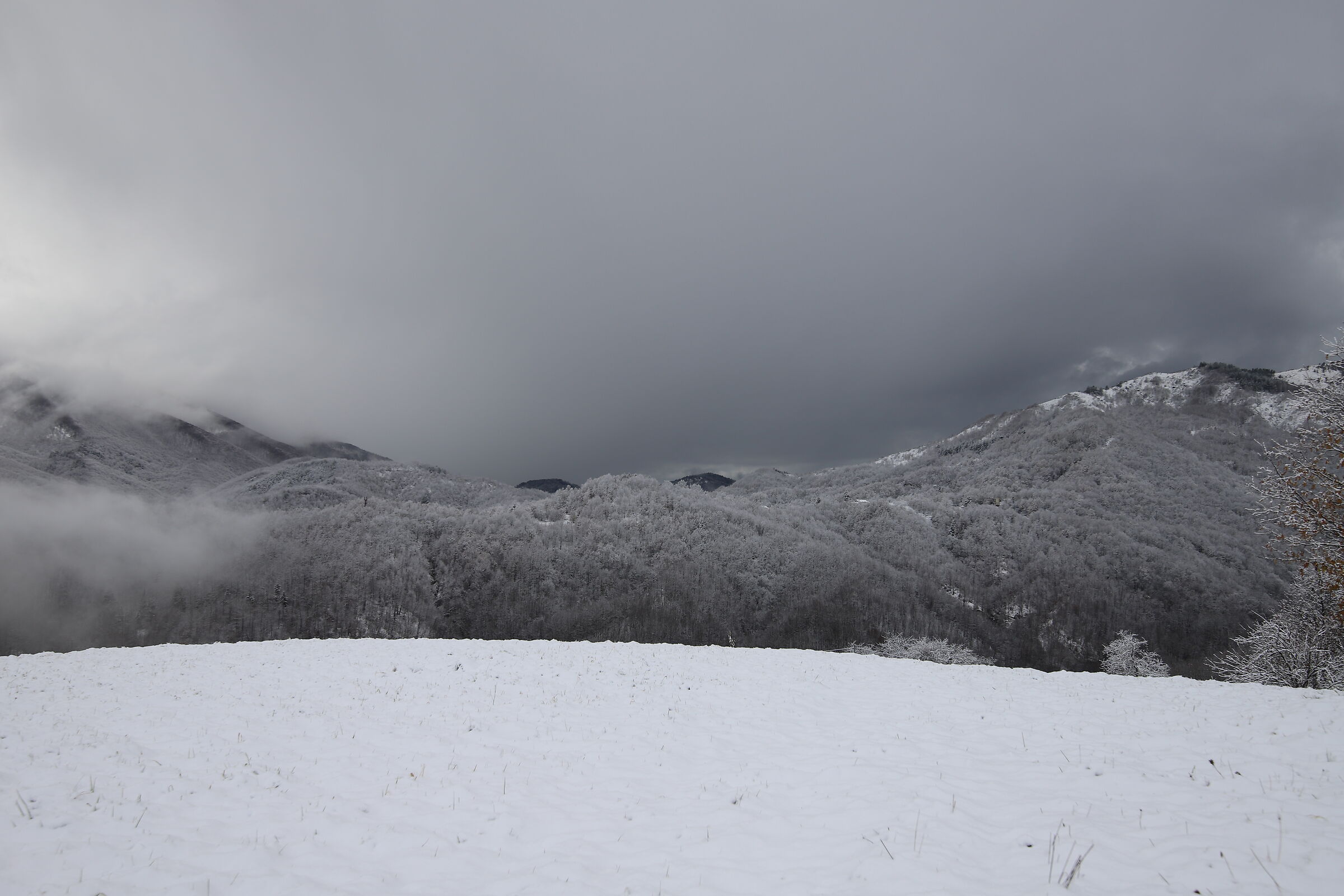 Untitled Photo