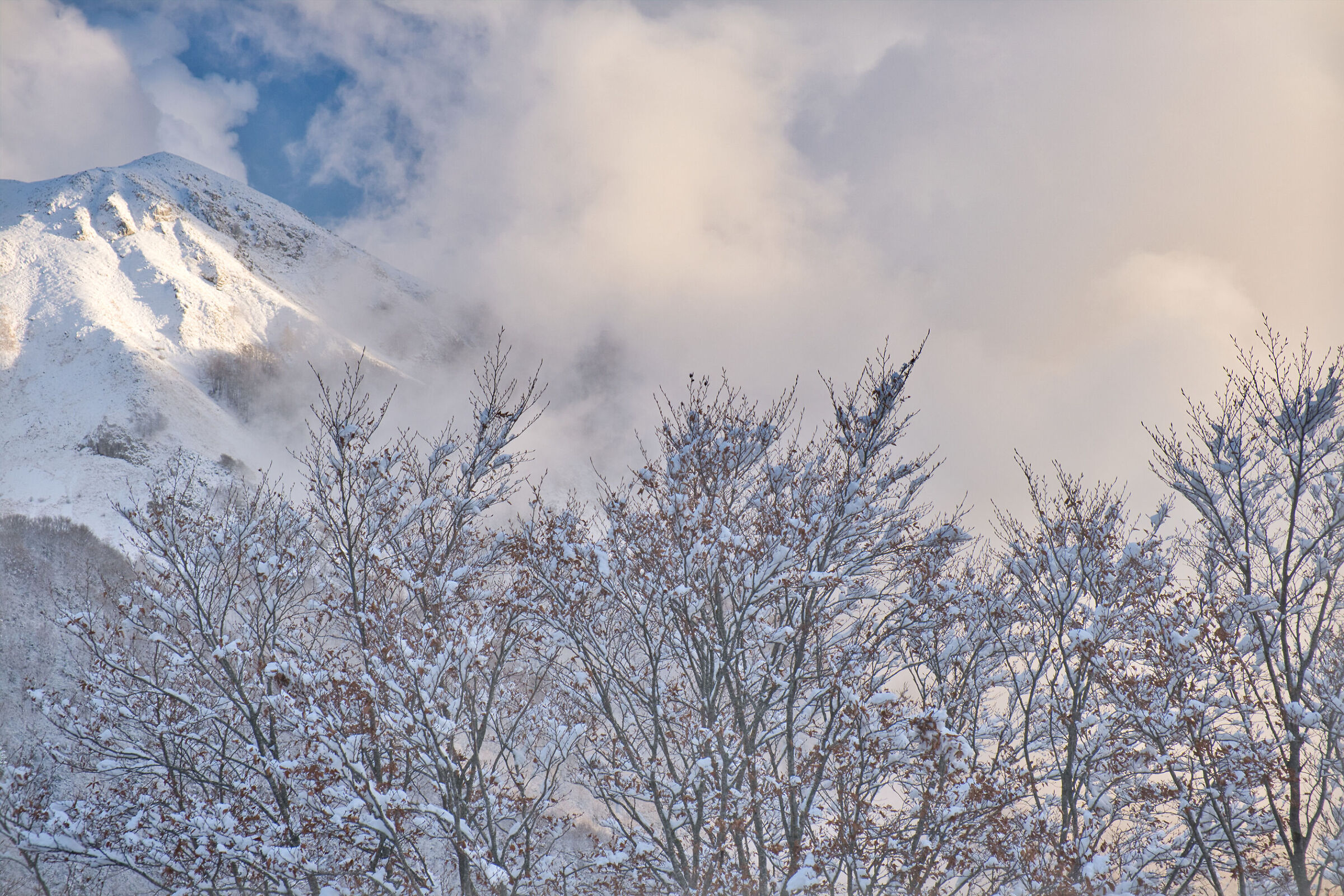 Prima neve a Forca d'Acero