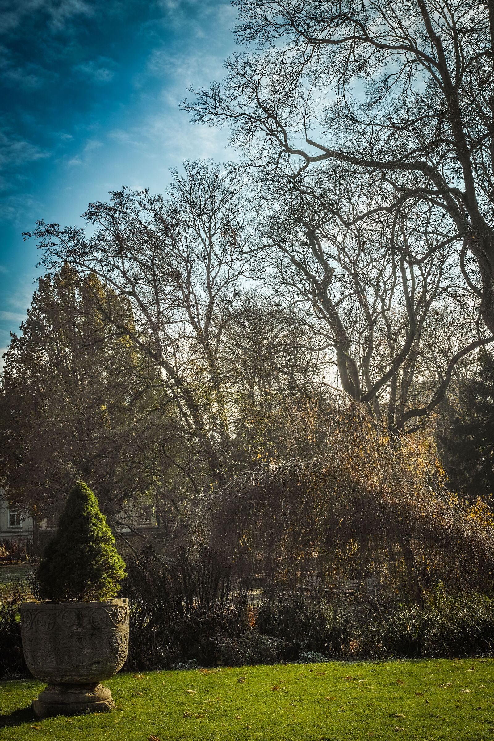 Parco in una giornata di sole d'autunno