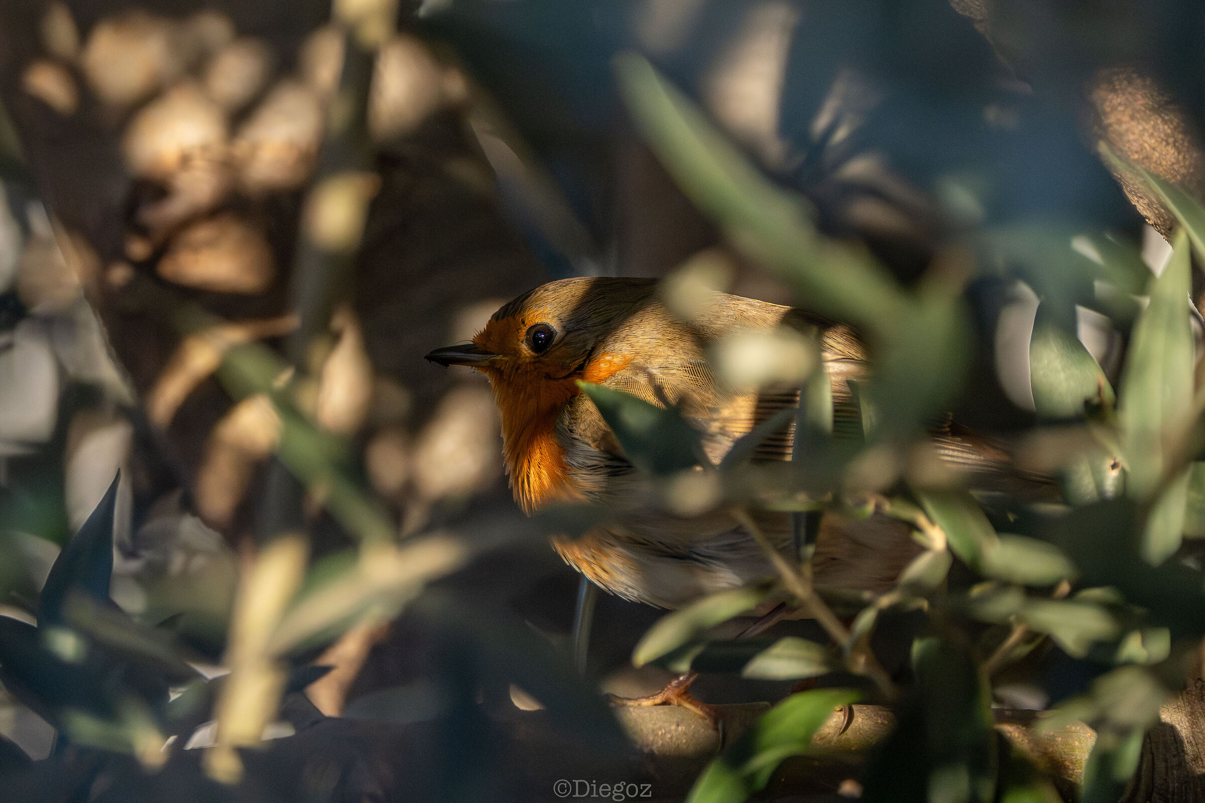 Untitled Photo
