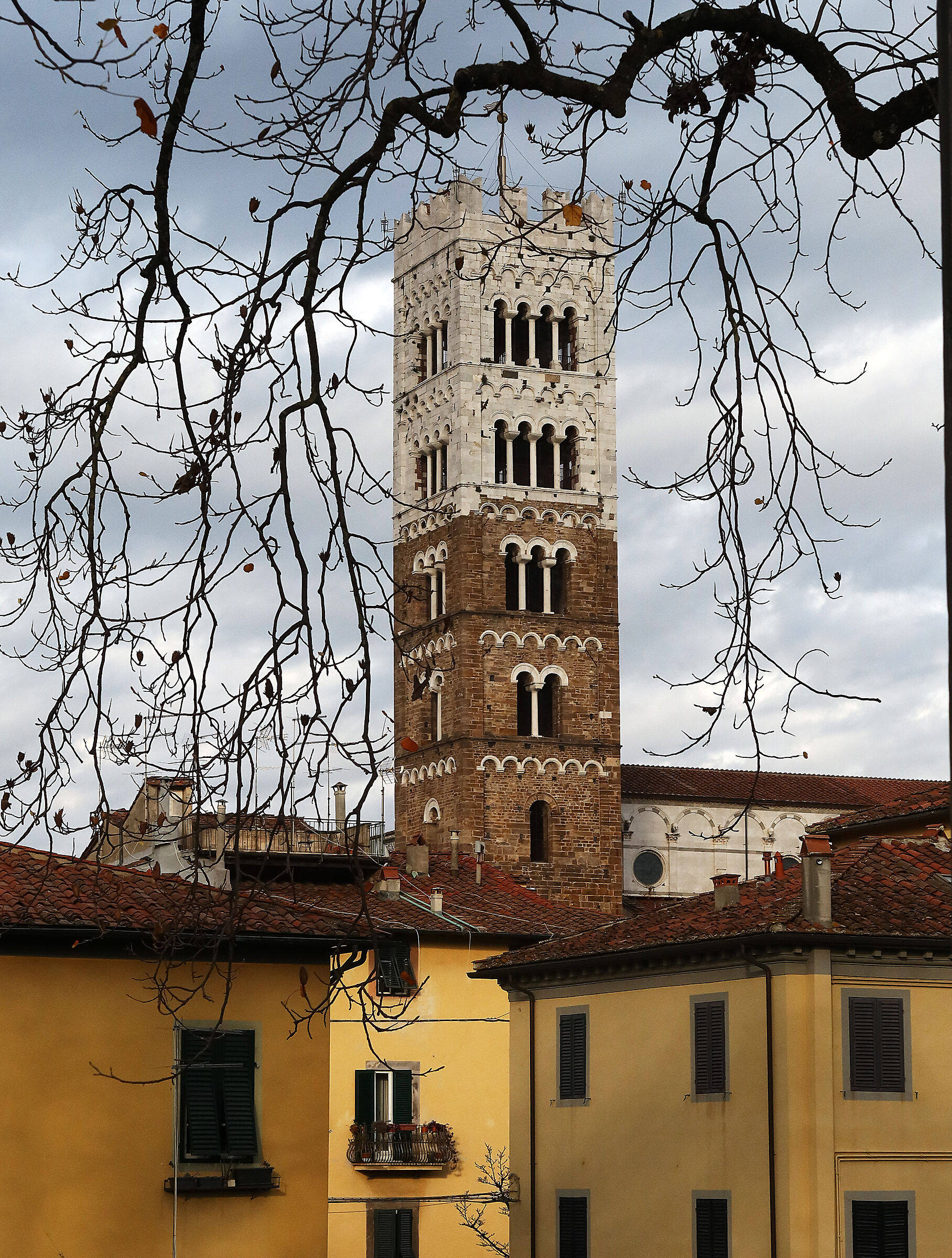 Cathedral of Luccca