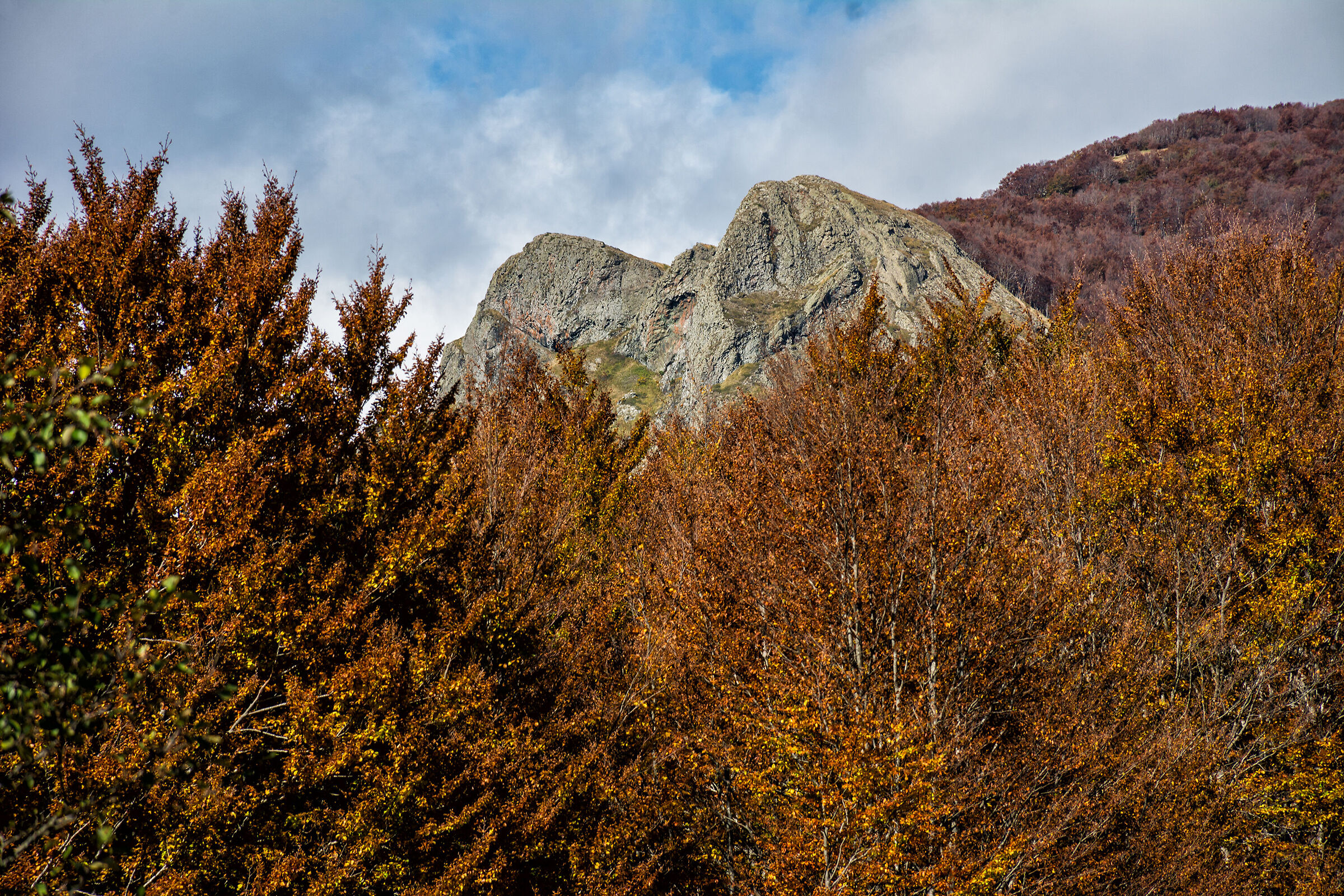Monte Groppo Rosso in the midst of autumn colors