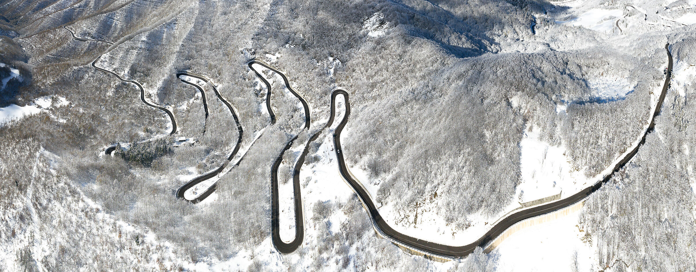 Verso il valico di Bocca Trabaria