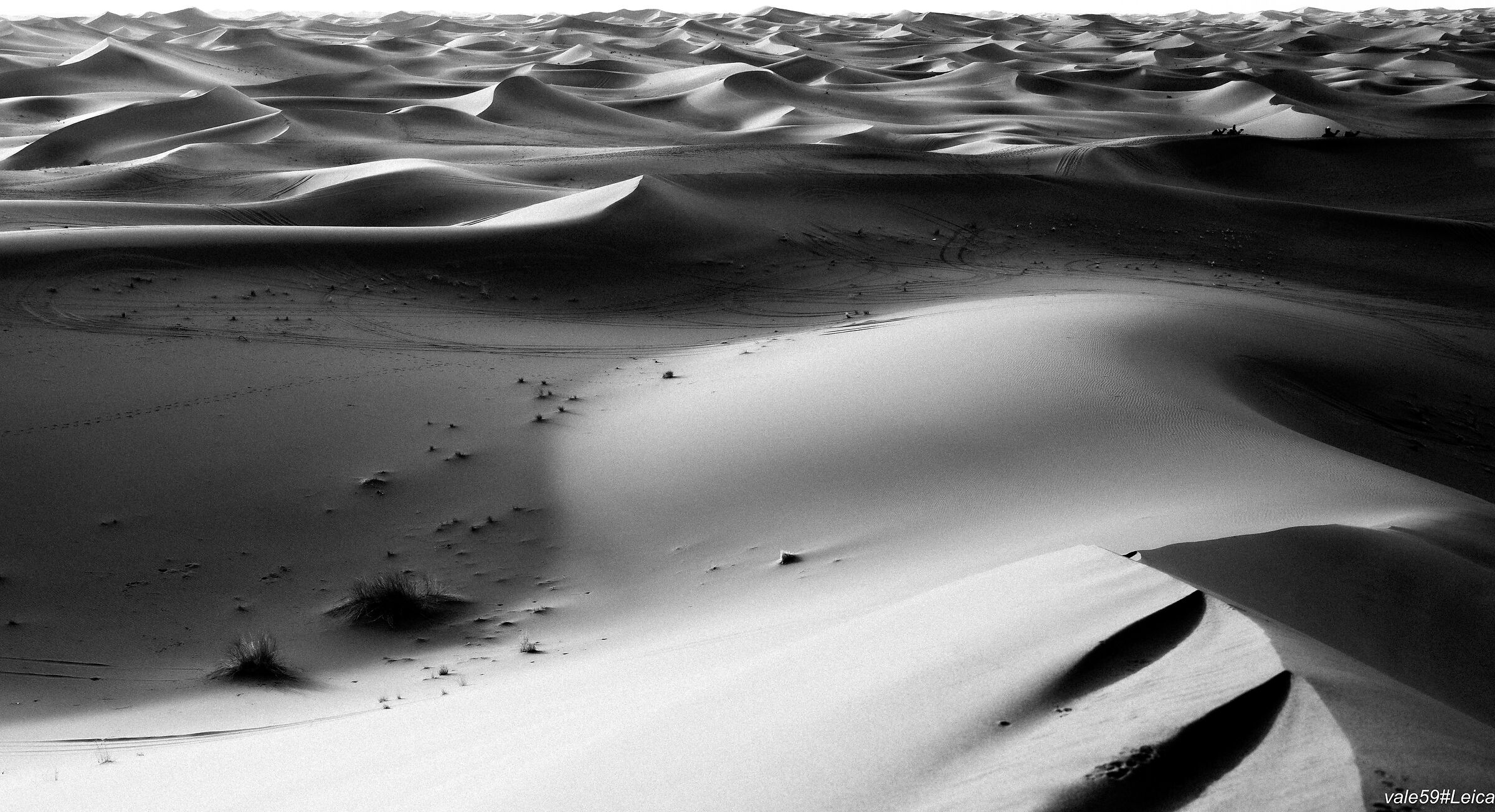 ERG shadows and lights