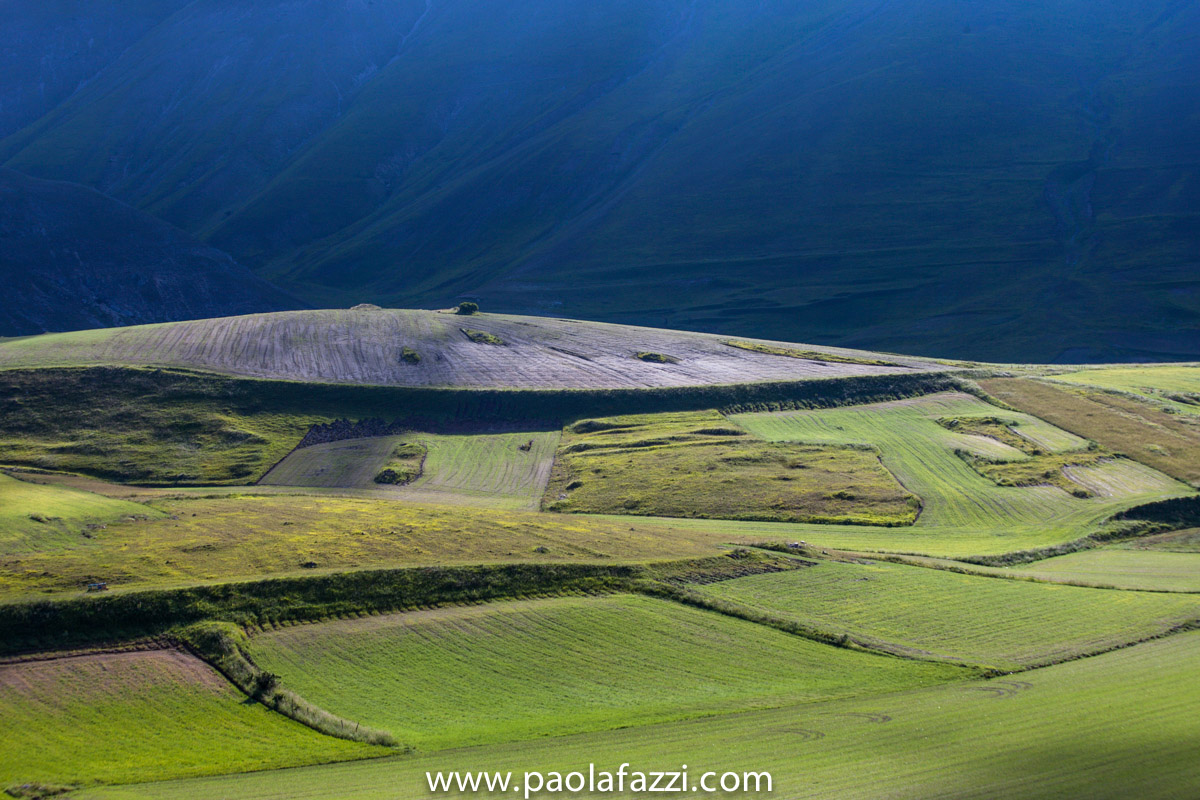 Luci ai piedi del vettore