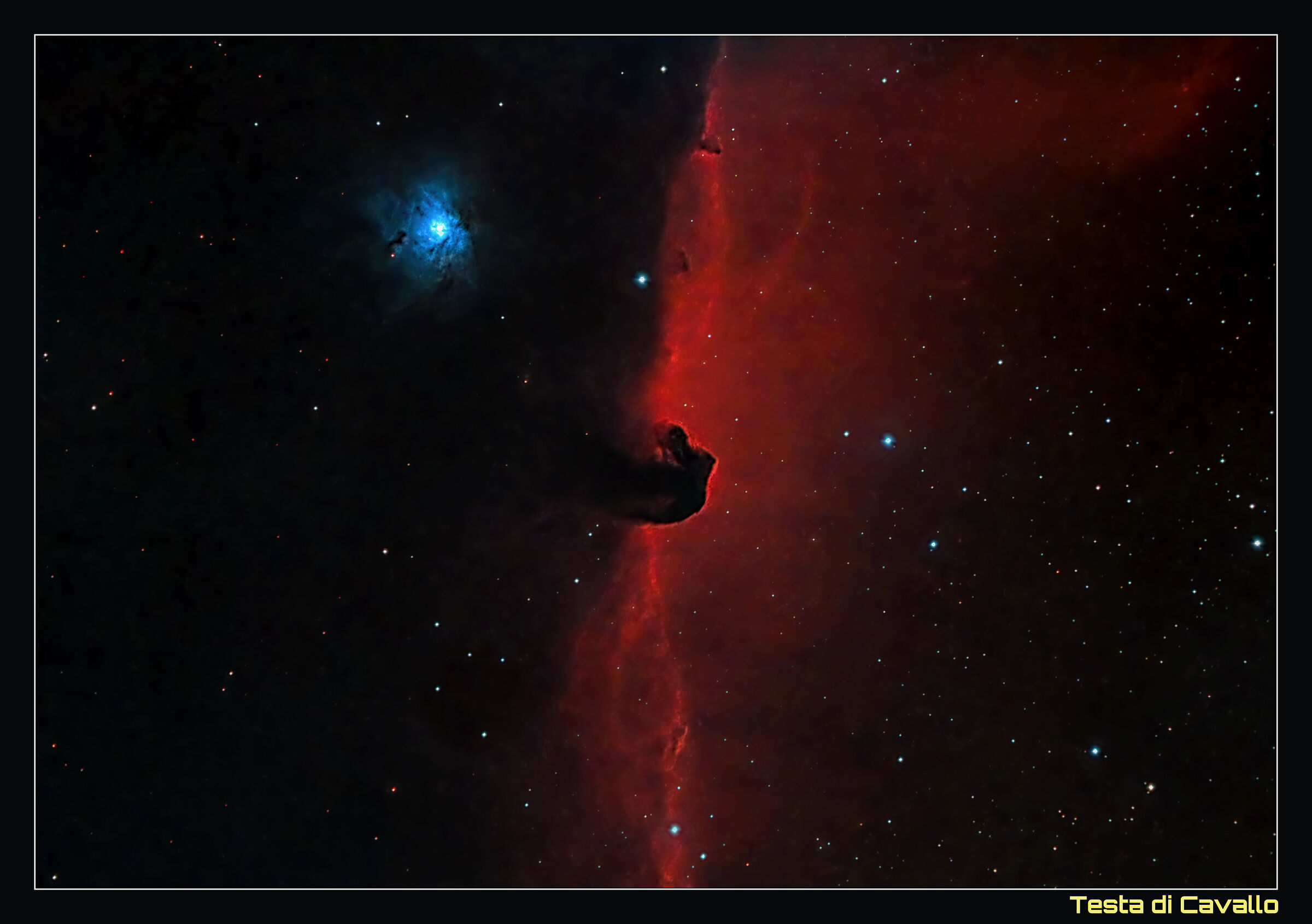 "Horse's Head" Nebula