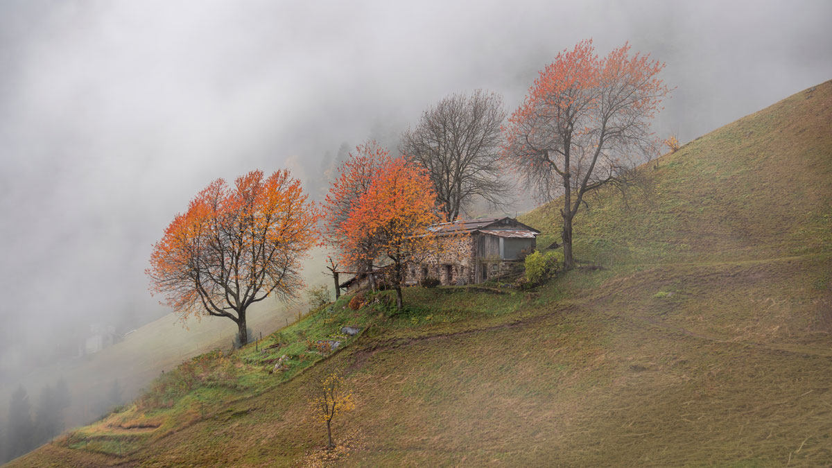 Autunno nell'orto di montagna
