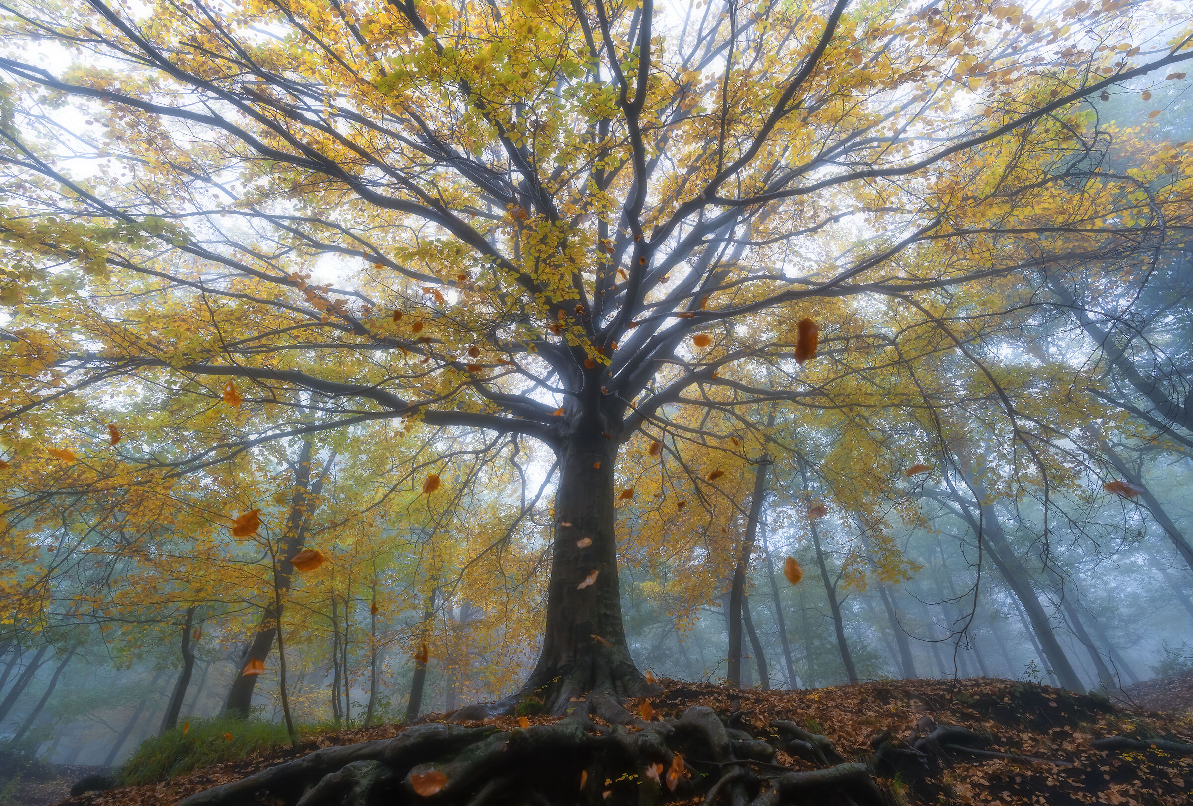 autunno etna