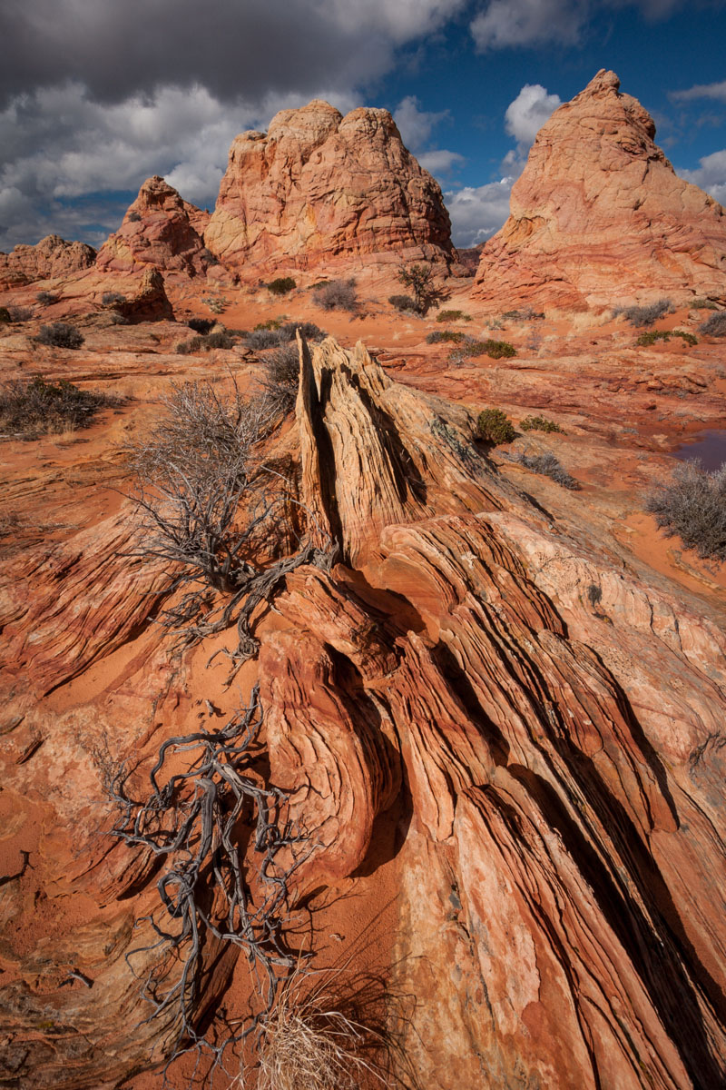 Coyote Buttes South