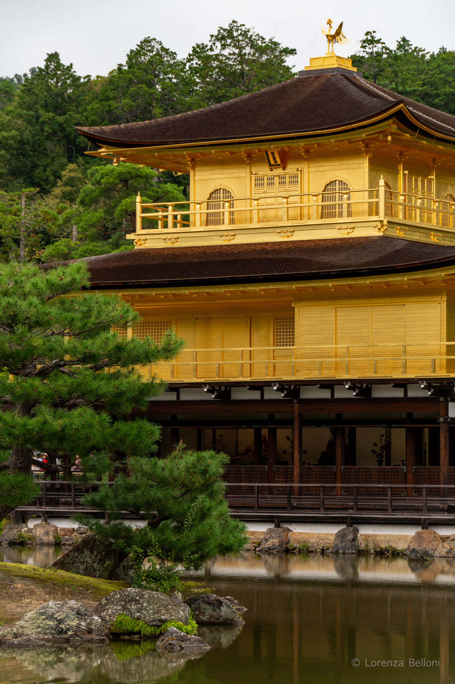 Kinkaku-ji: la pagoda d'oro