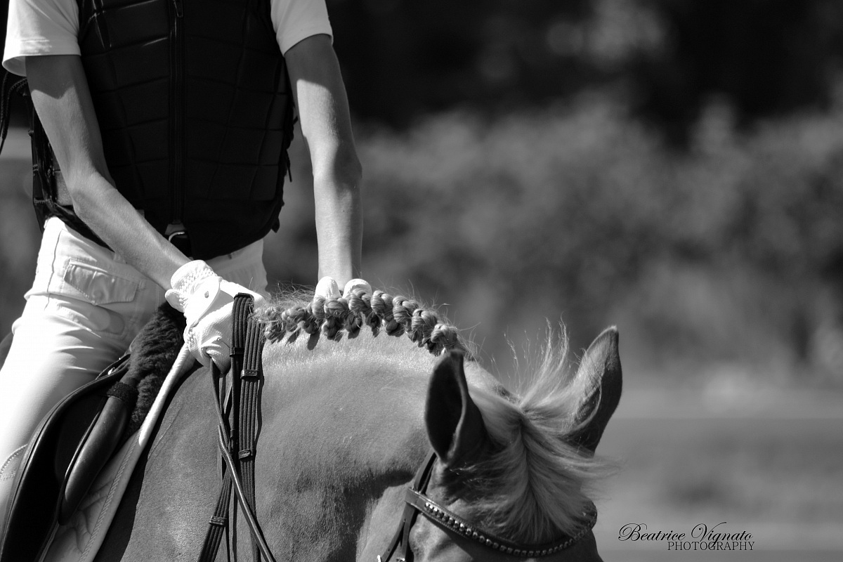 Competition Montagnana