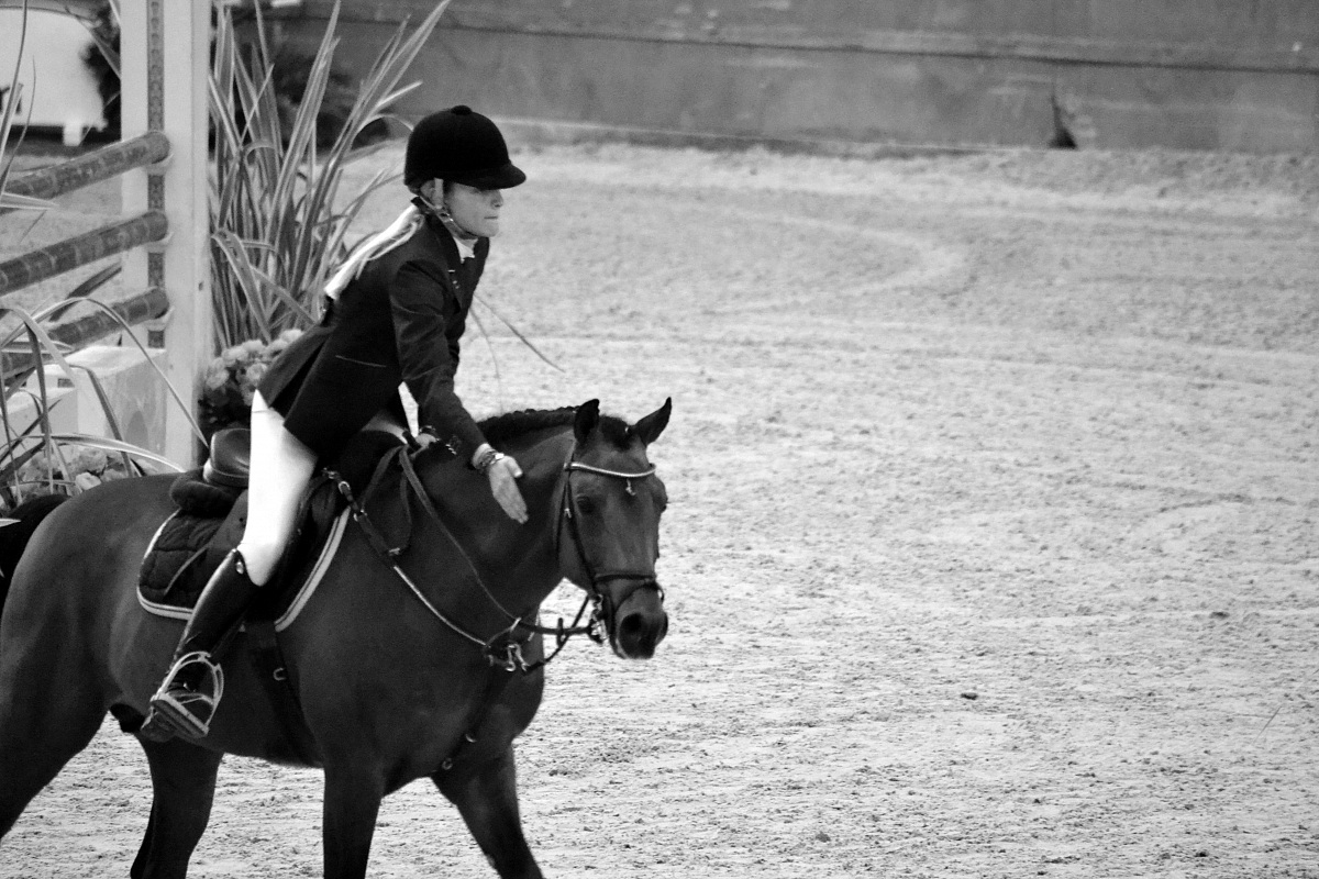 Competition Manerbio