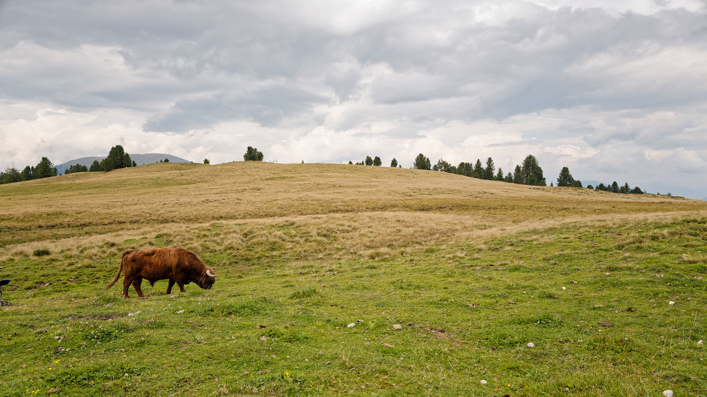 Würzjöch - Wurzjöch