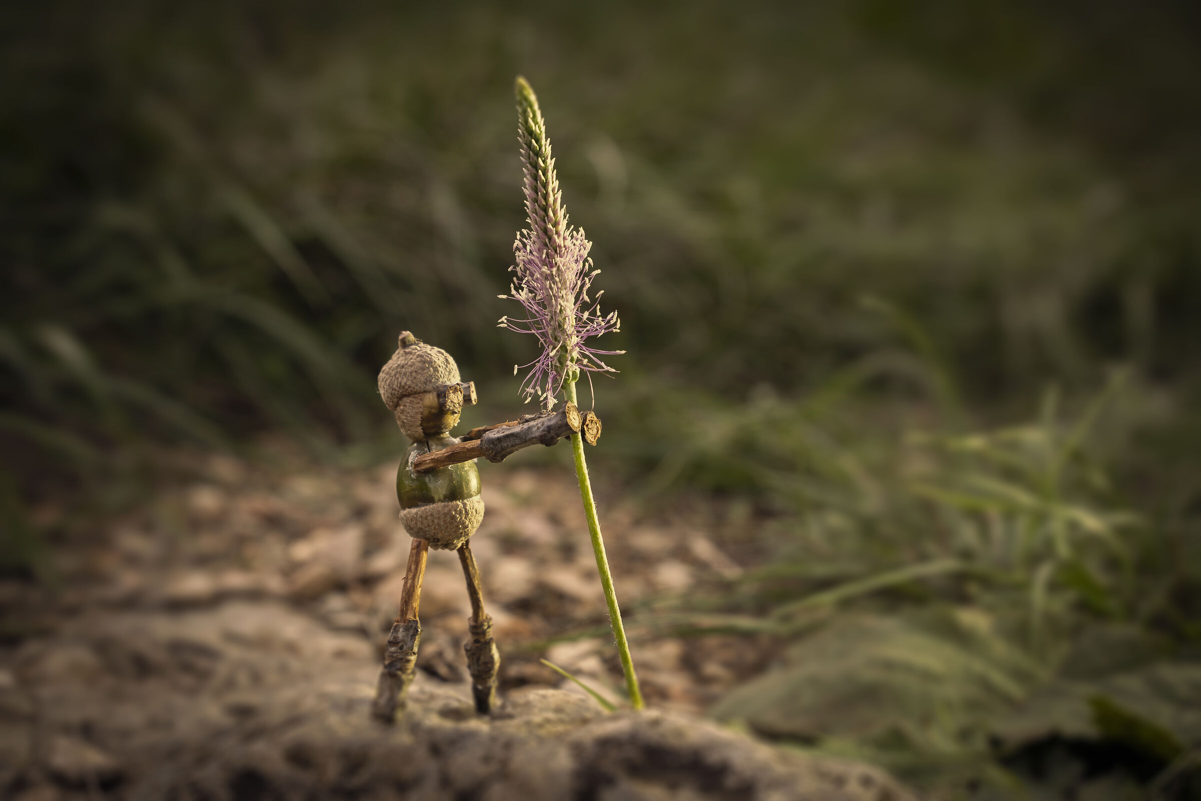 Puppets 3