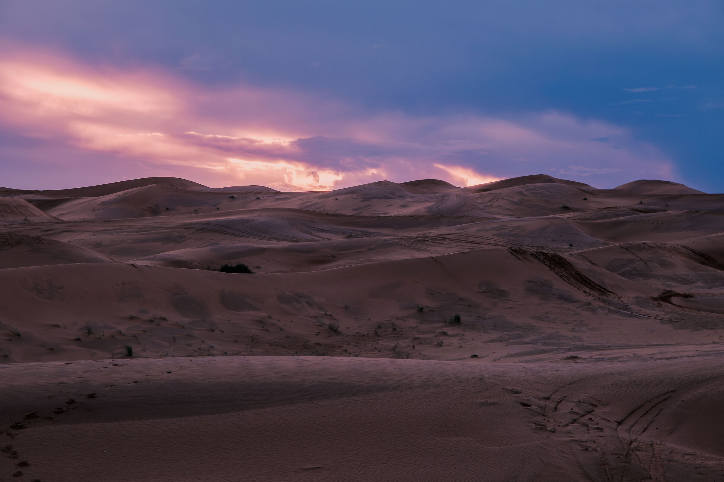 Desert sunset