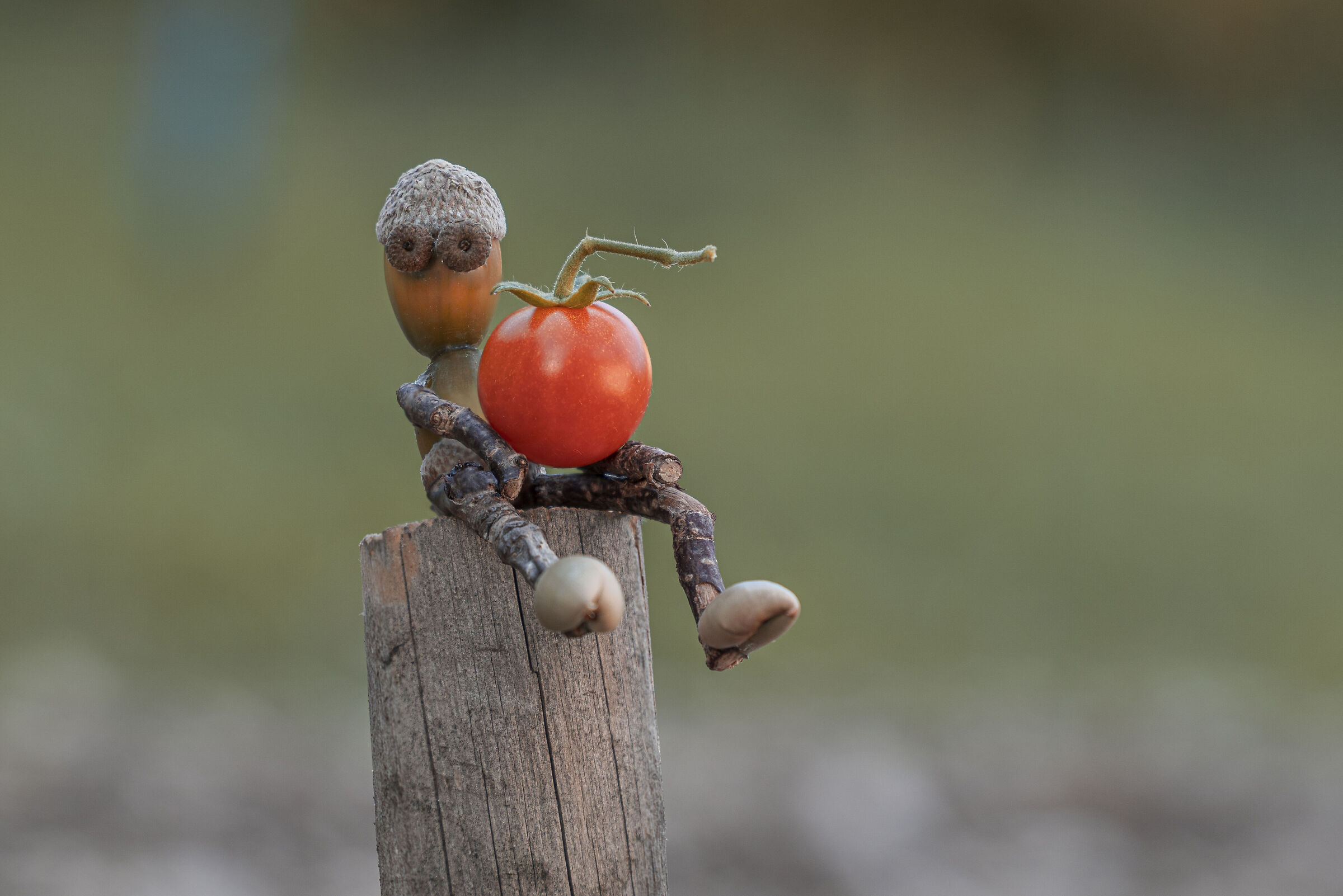 Puppets 6