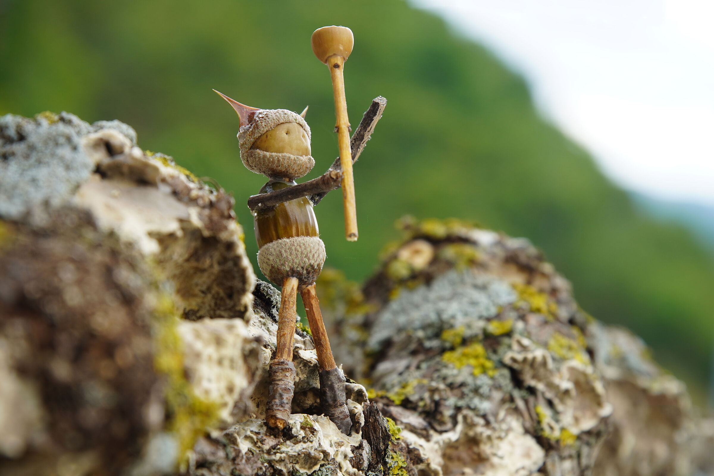Puppets 11