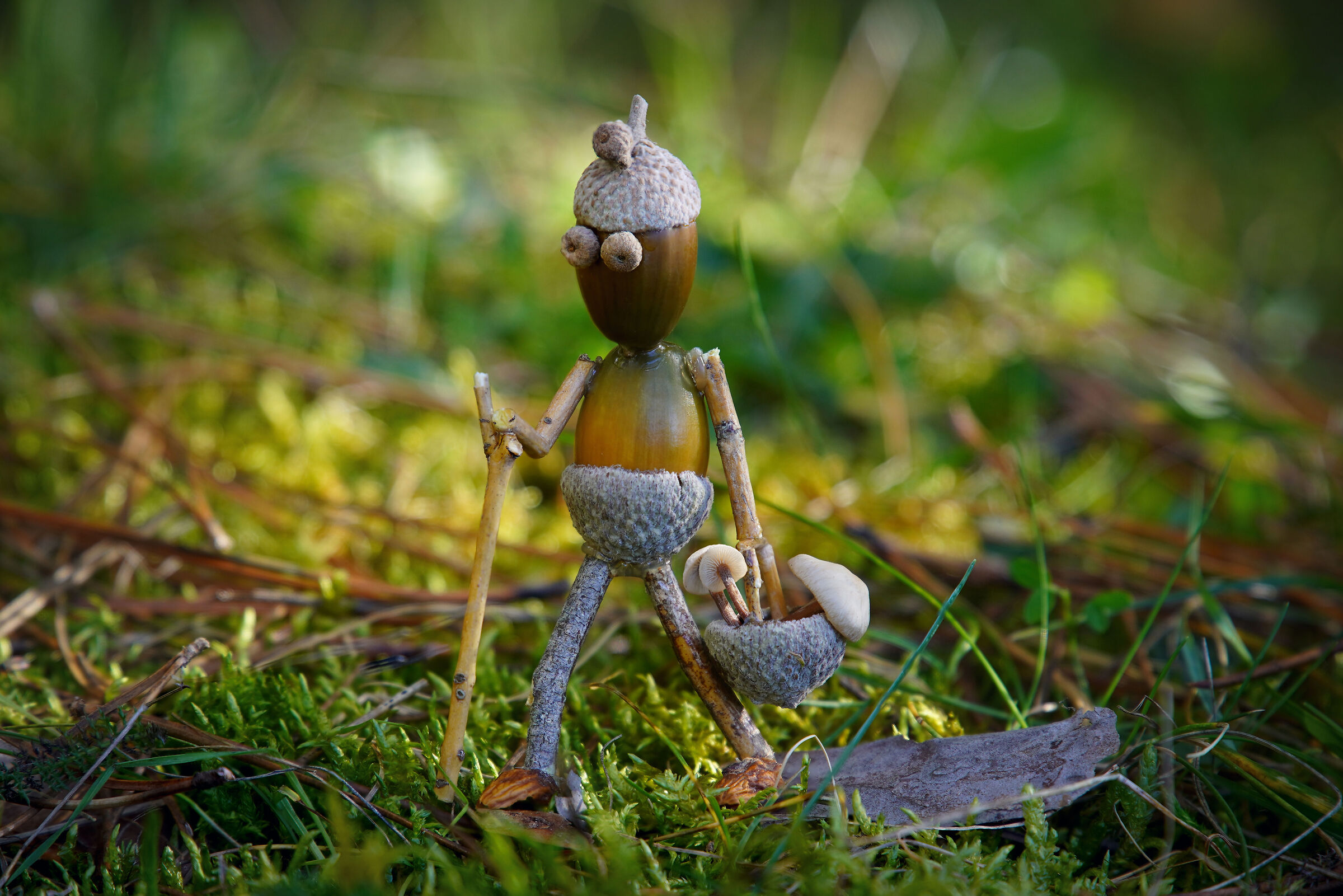 Puppets 15