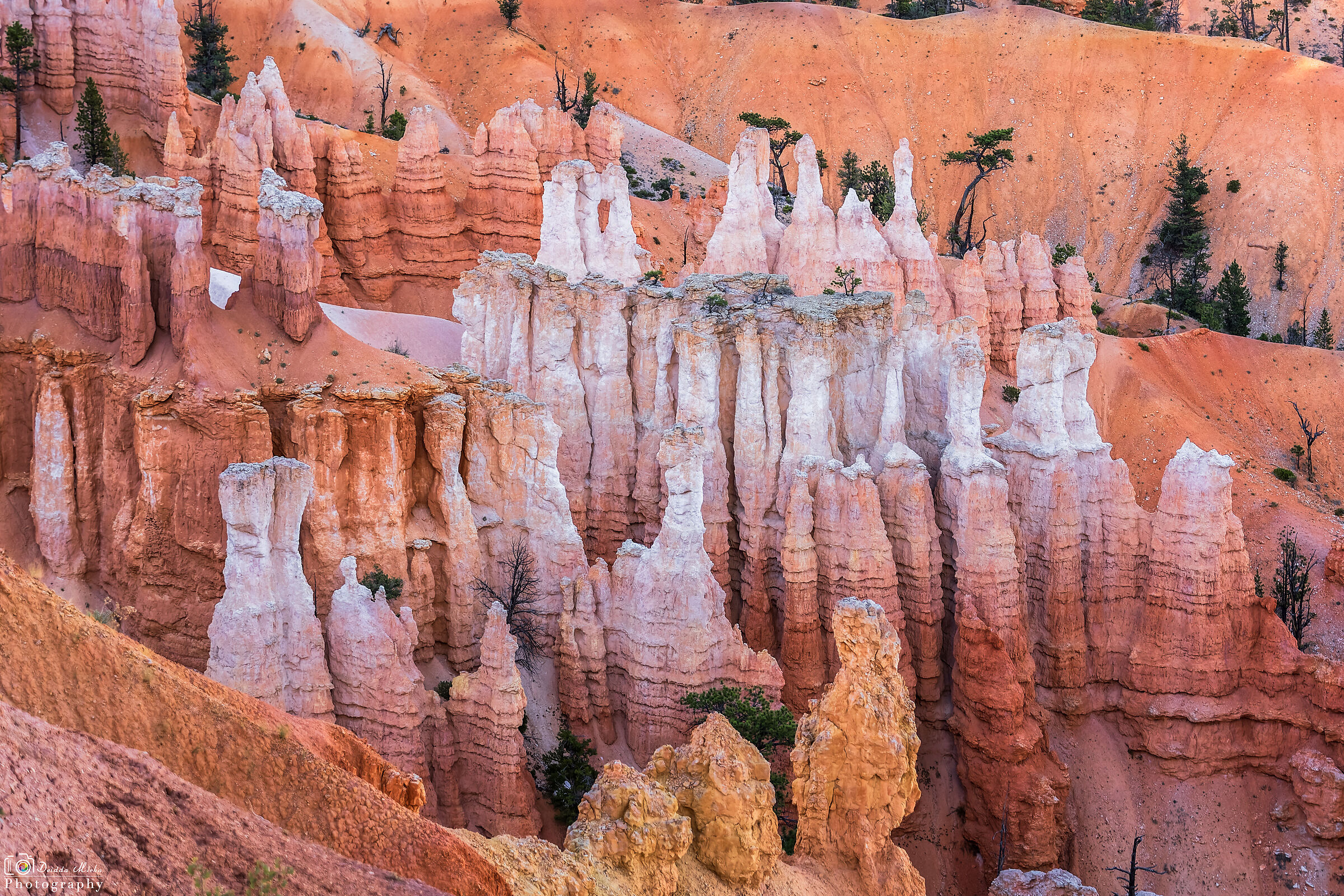 Bryce Canyon