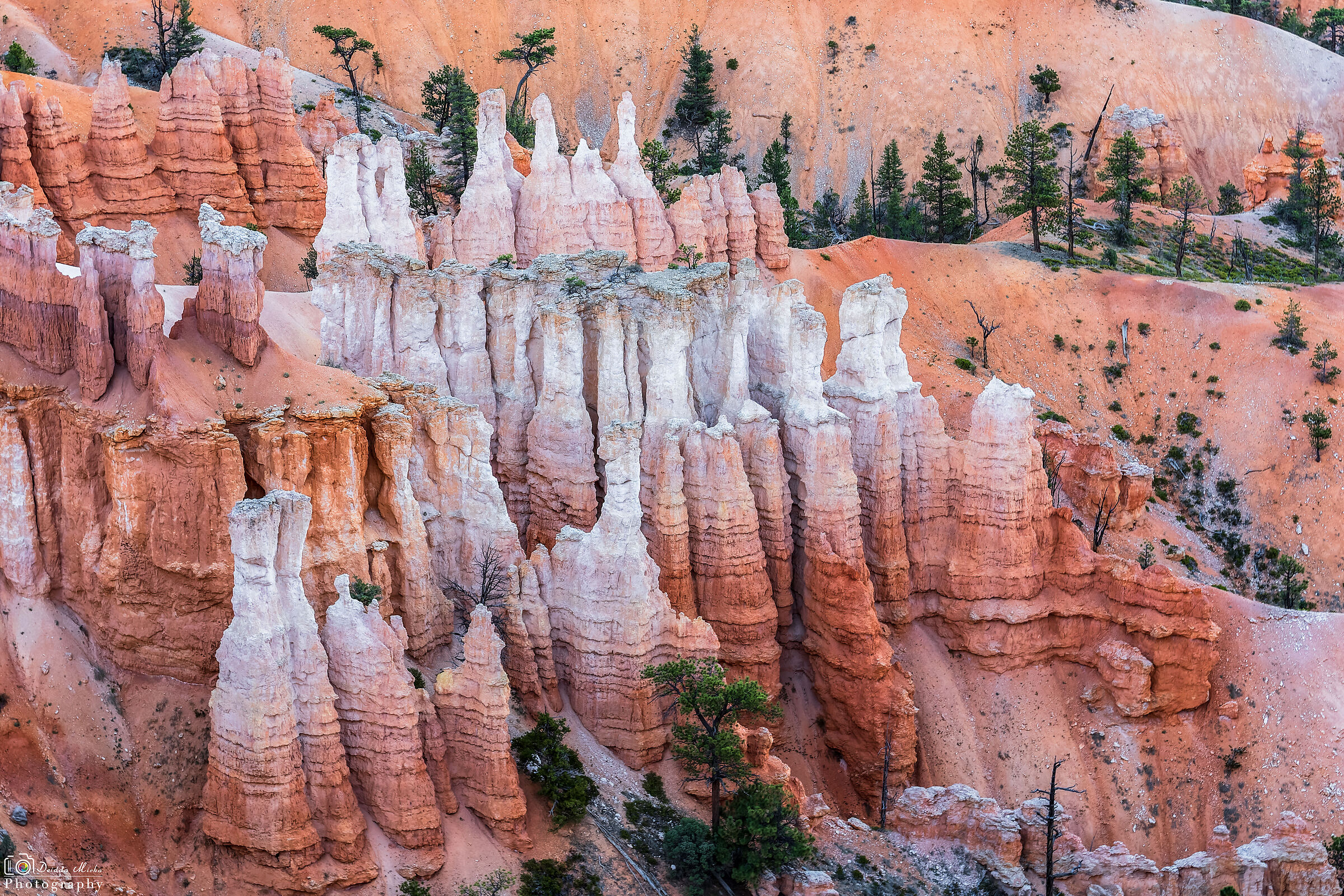 Bryce Canyon