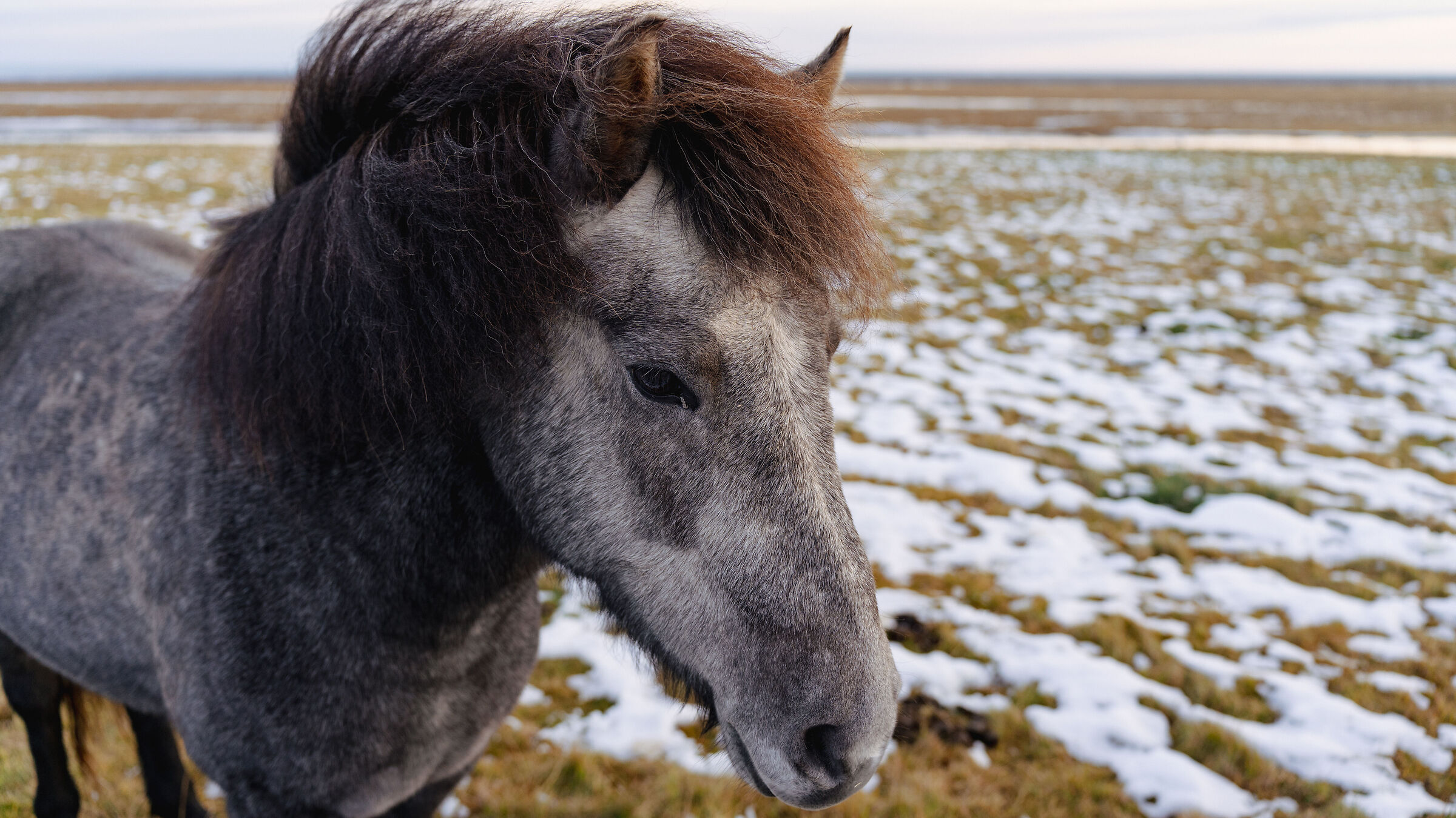 Iceland