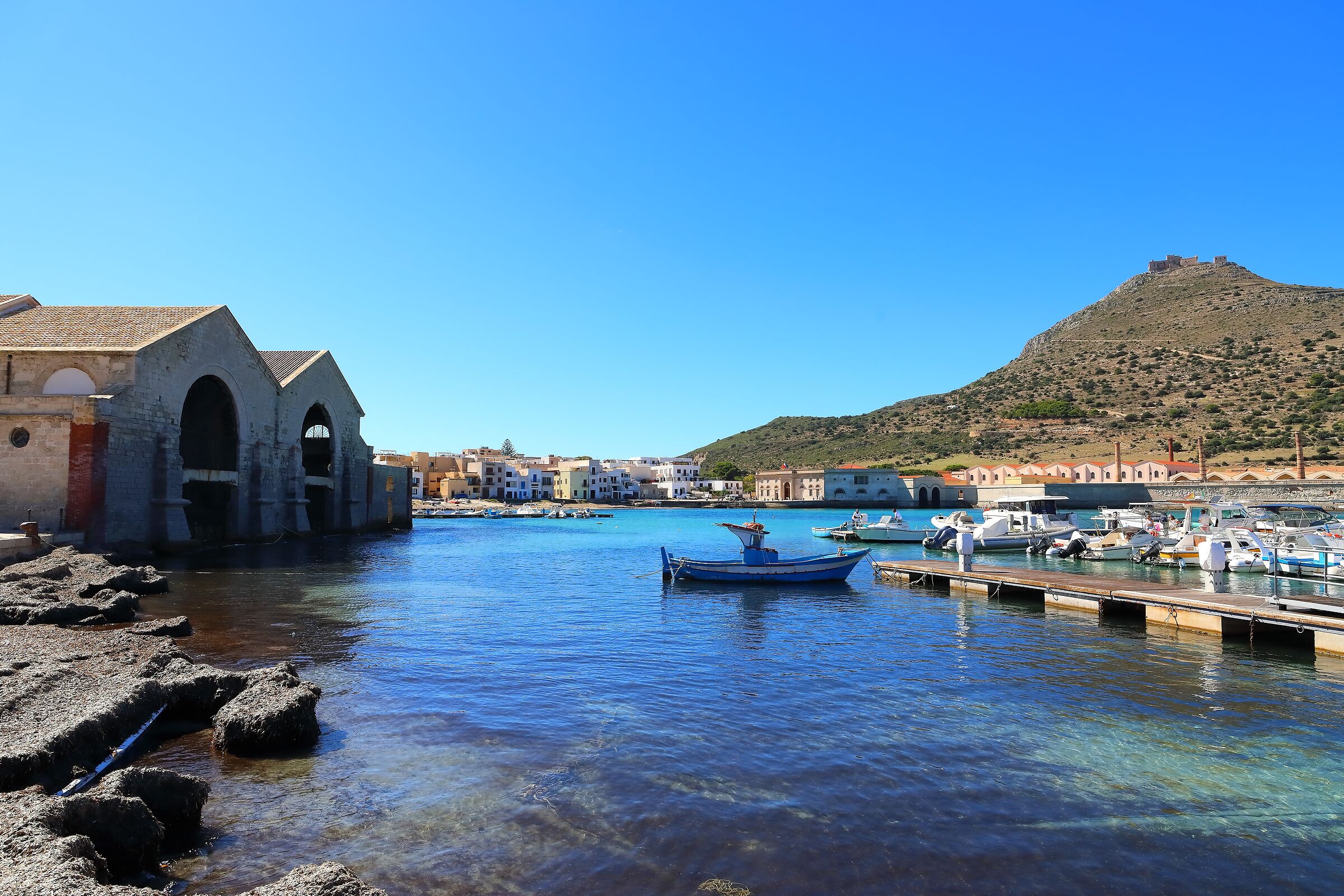 Panorama 08 ottobre 2025 - 0534