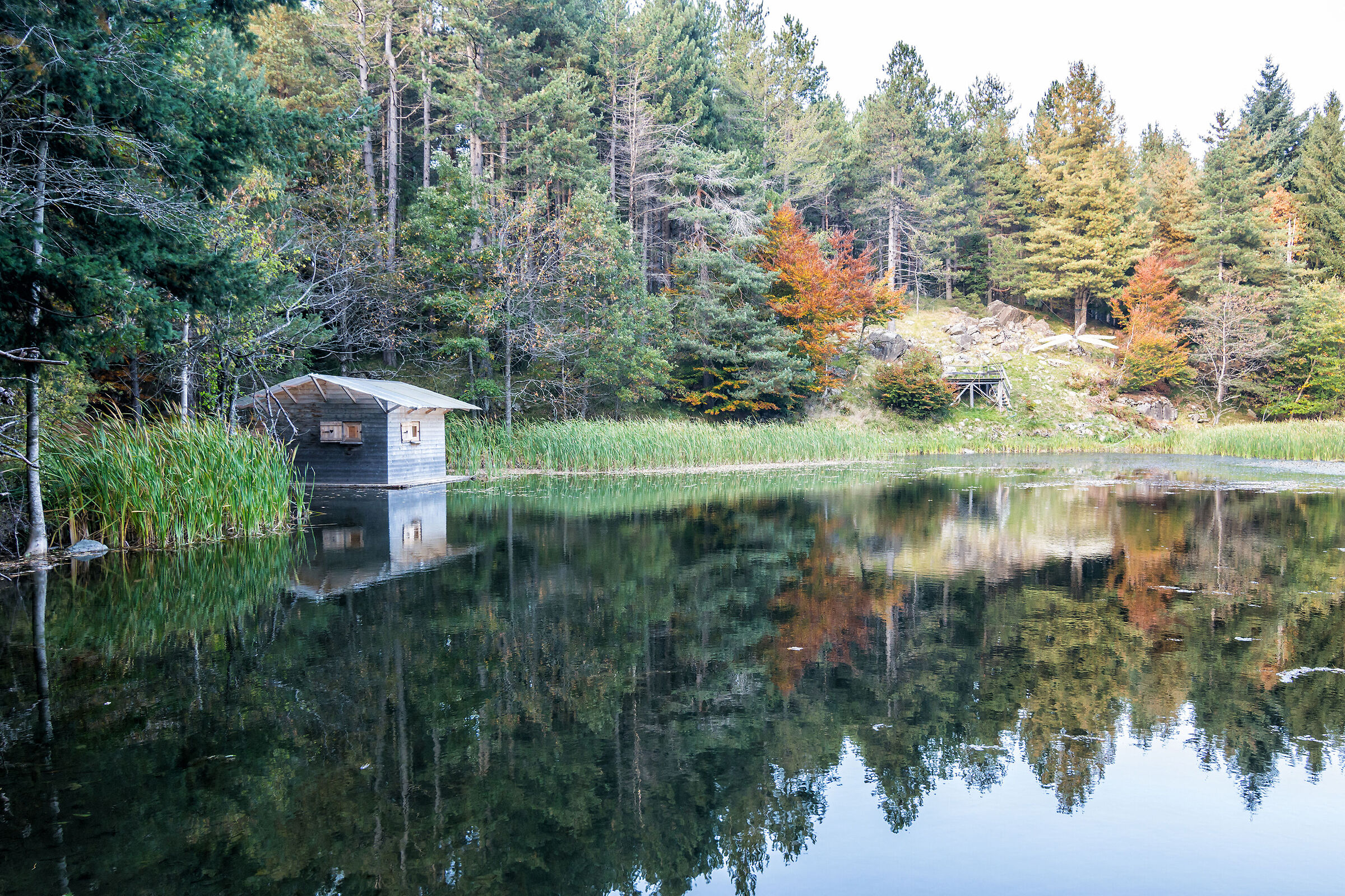 The shack on the lake