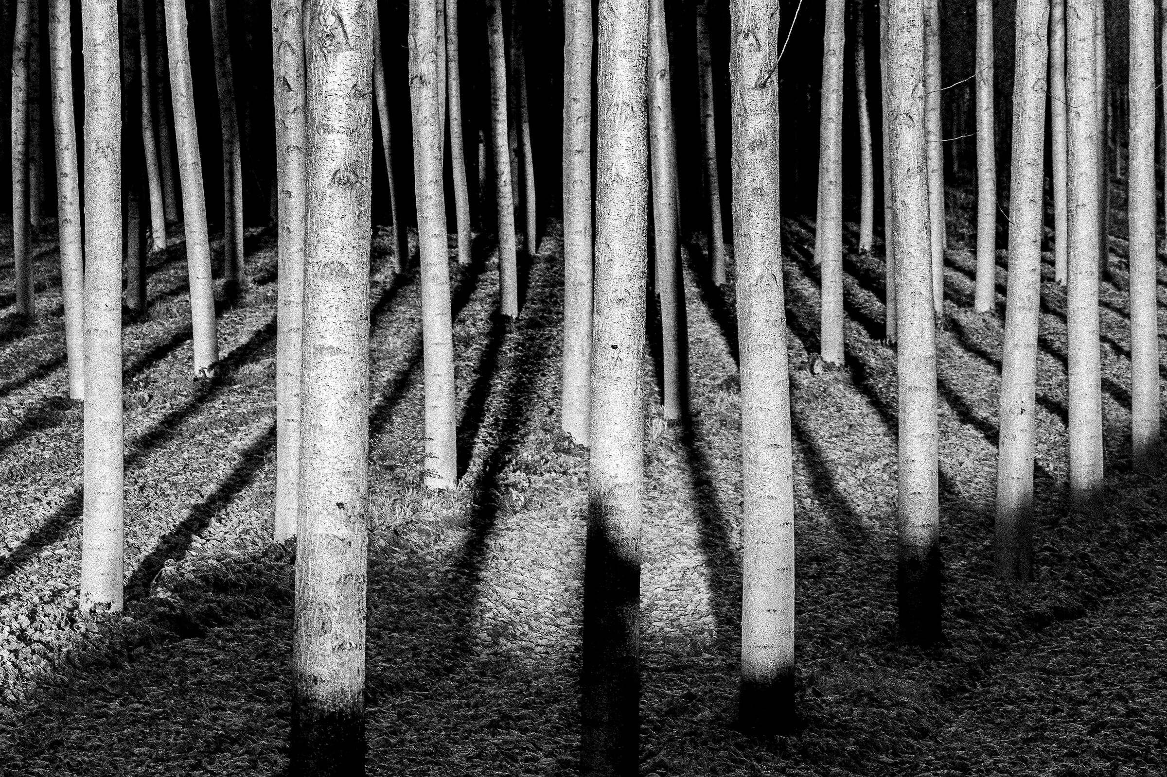 Lights and shadows..