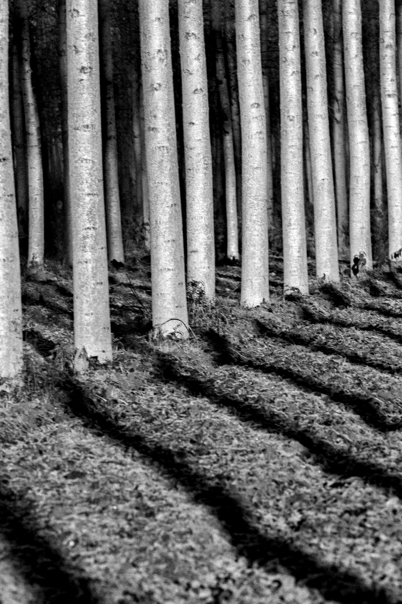 Untitled Photo