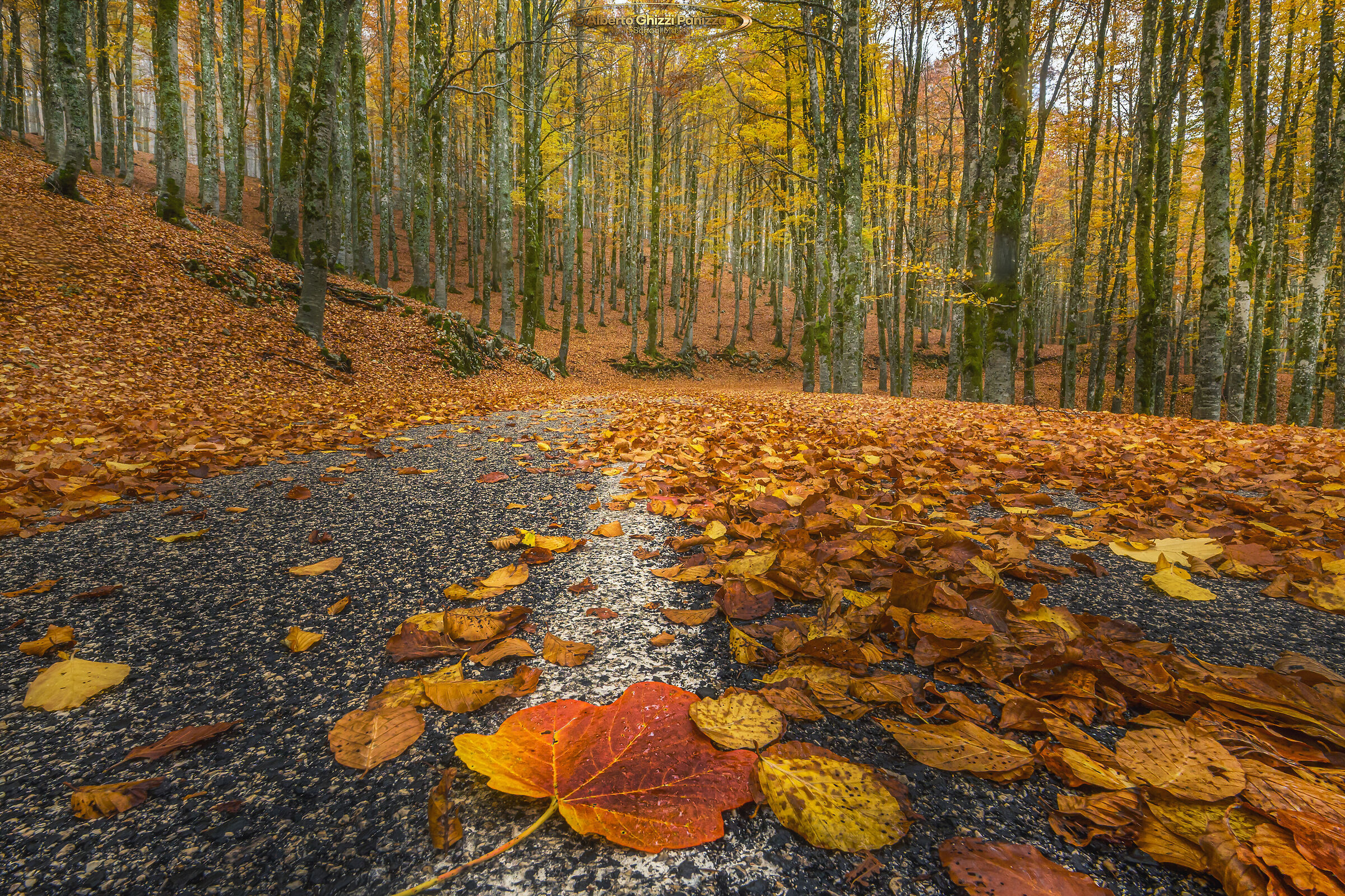Autumn in Forca d'Acero