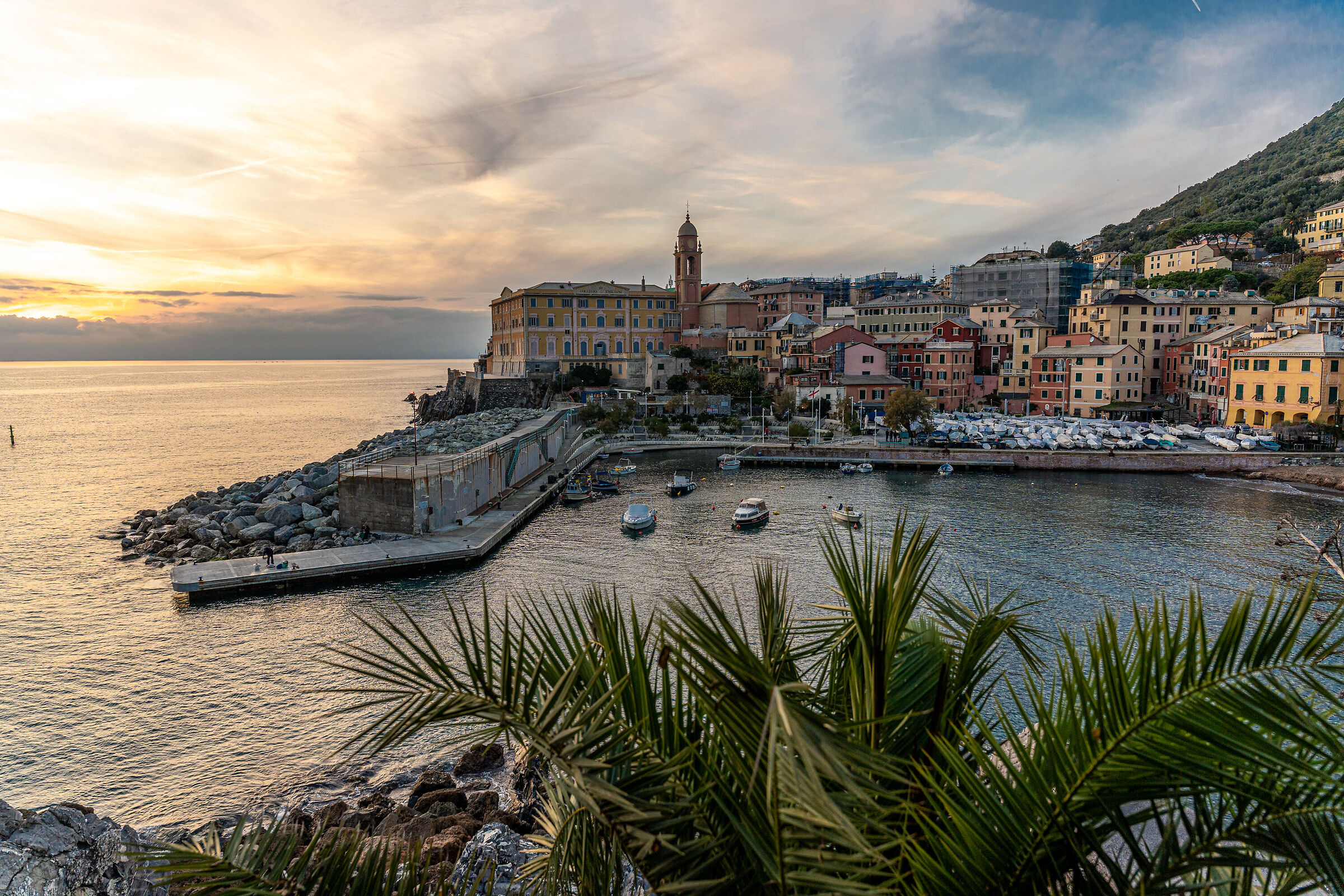 Nerves Harbor Sunset
