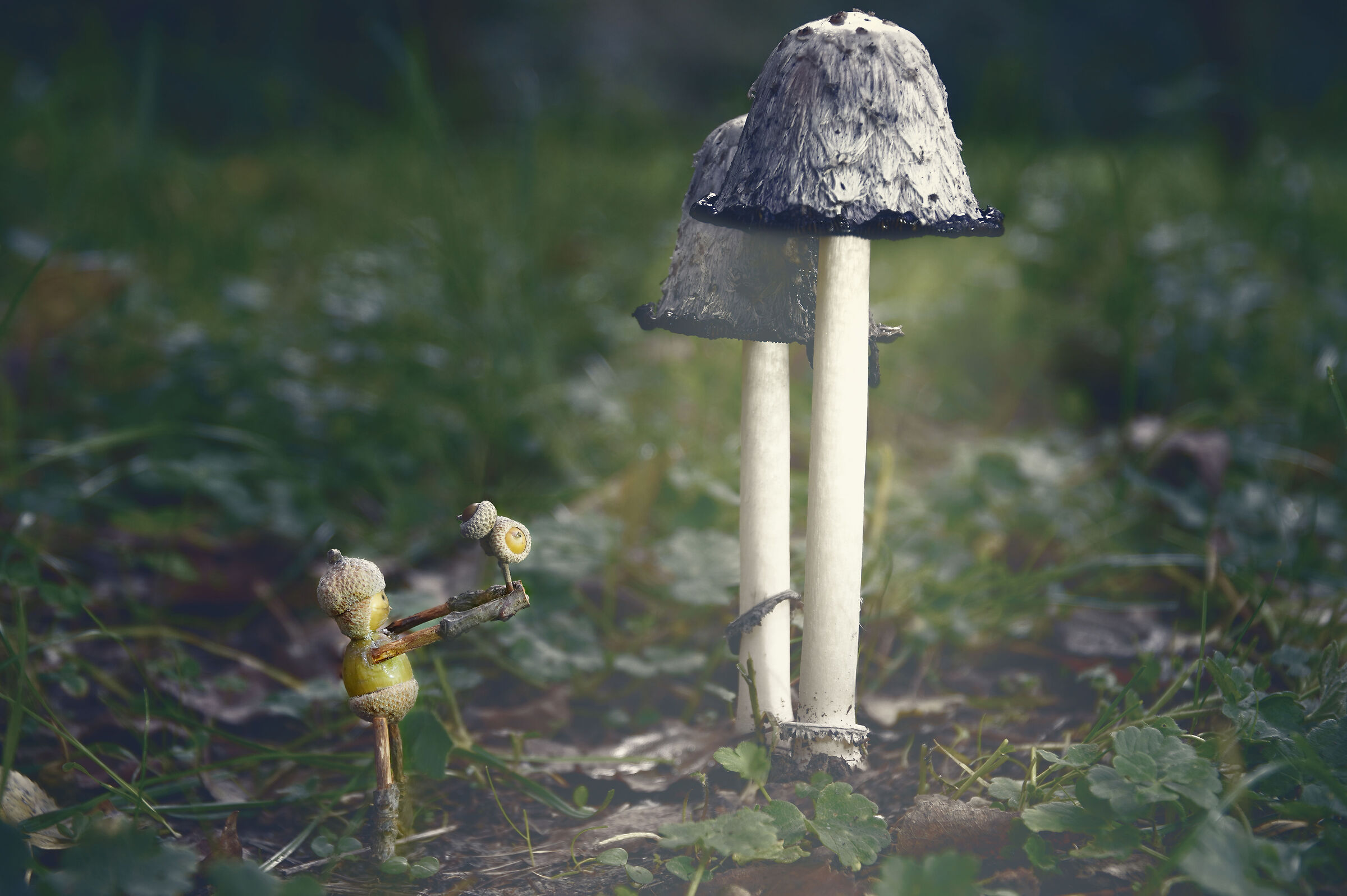 Puppets 22