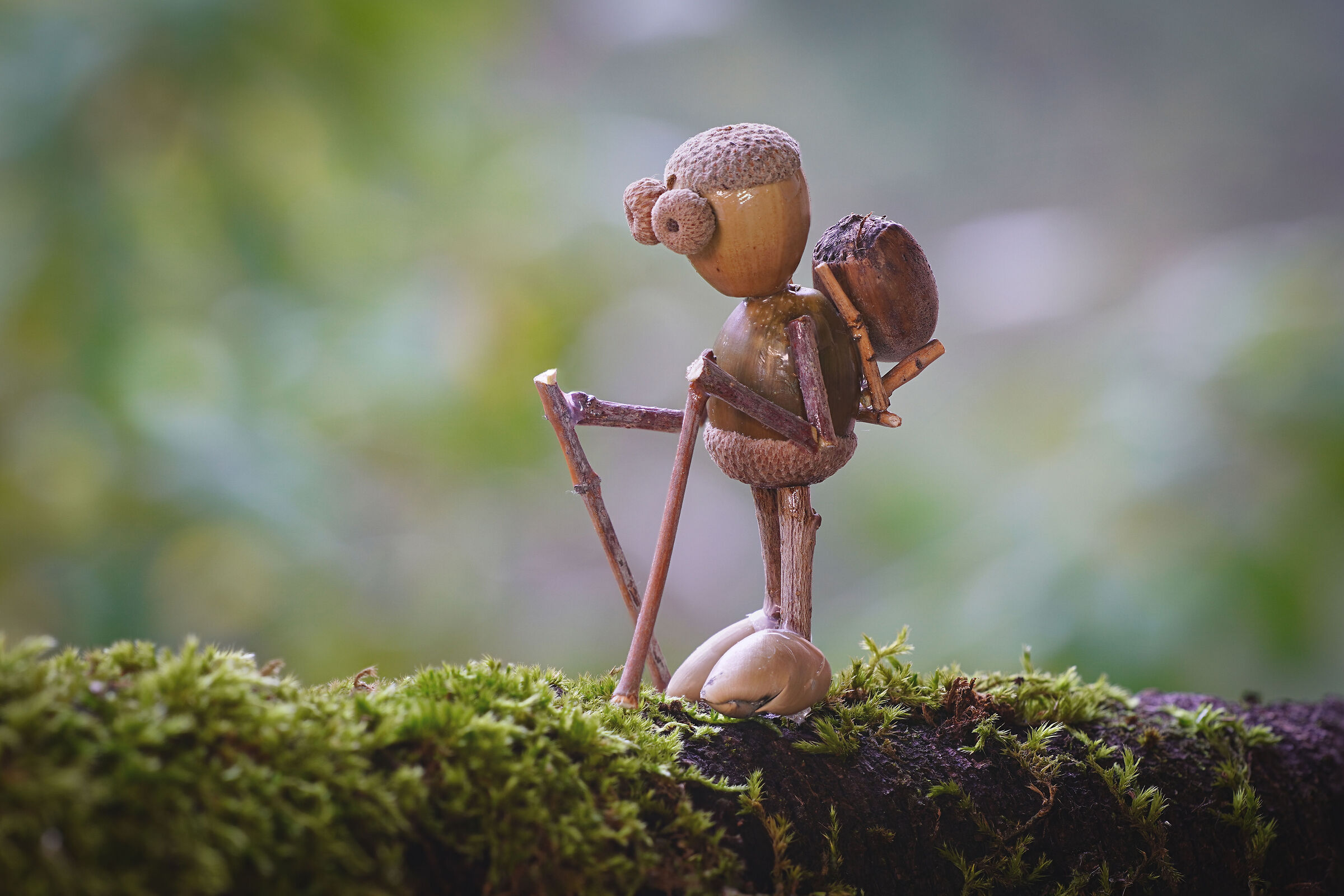 Puppets 24
