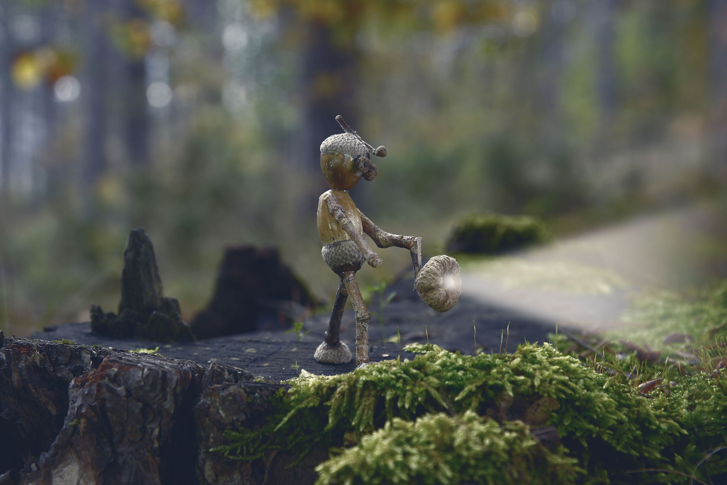 Puppets 26