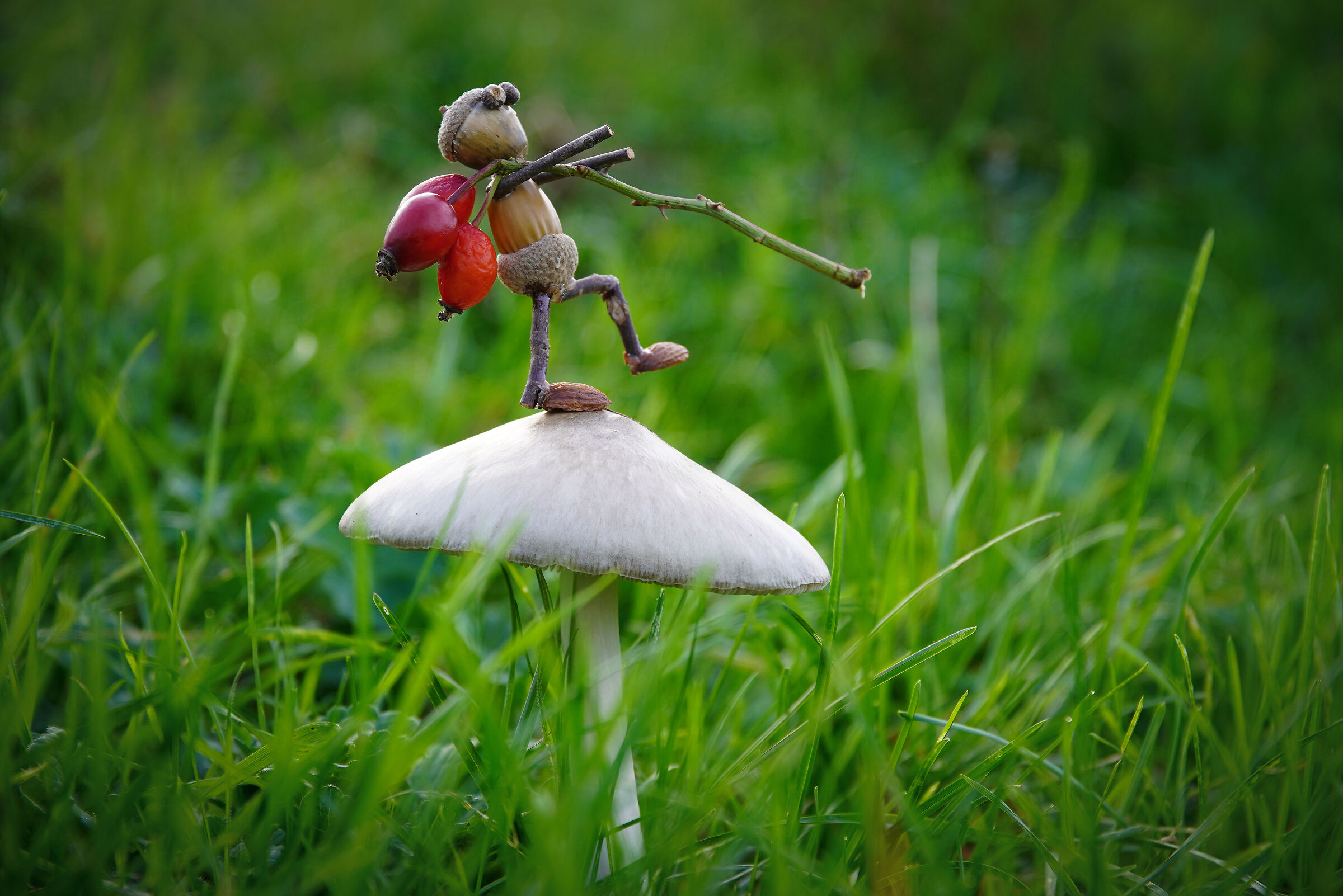 Puppets 29