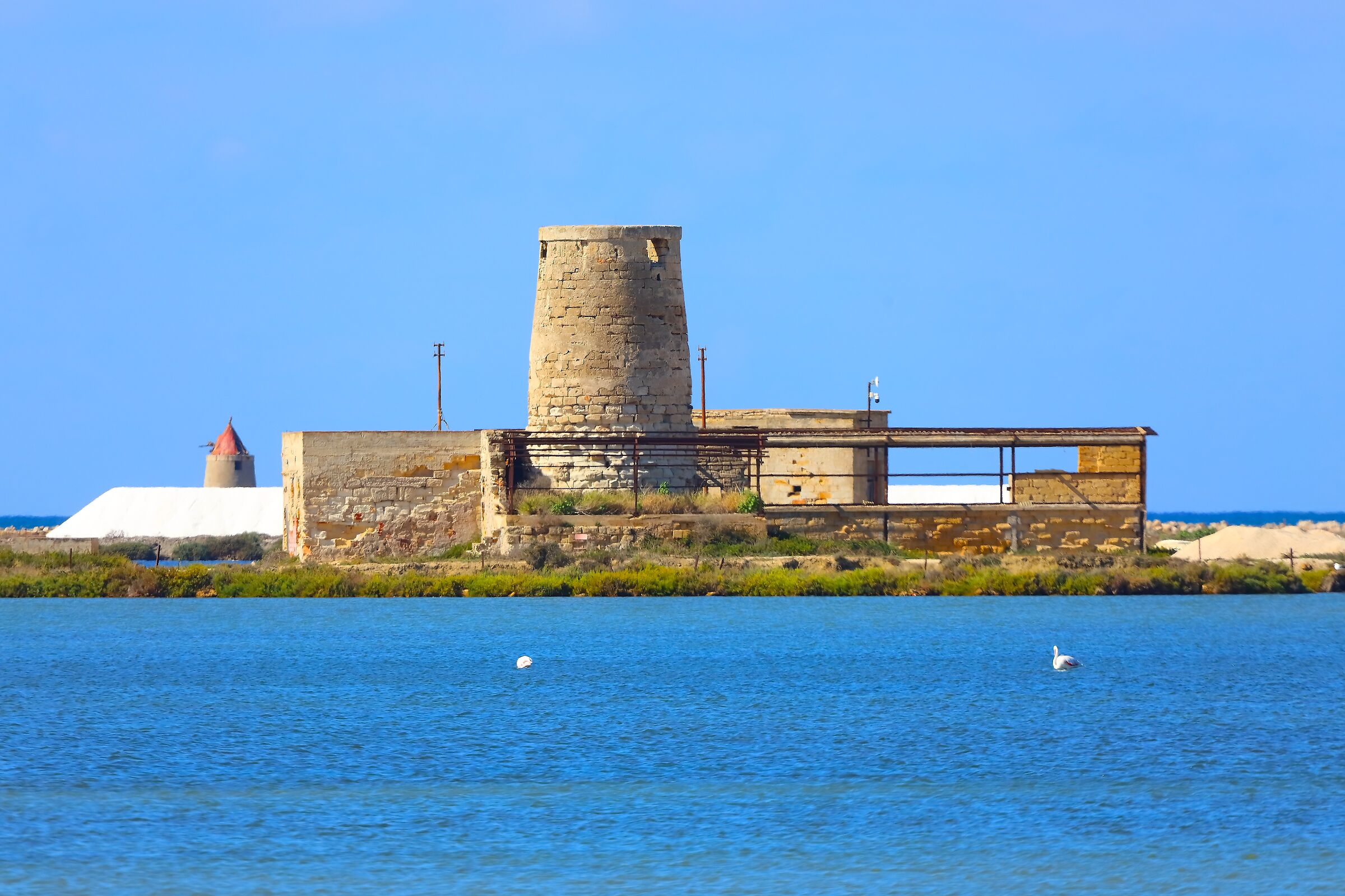 Le Saline 05 ottobre 2025 - 0231