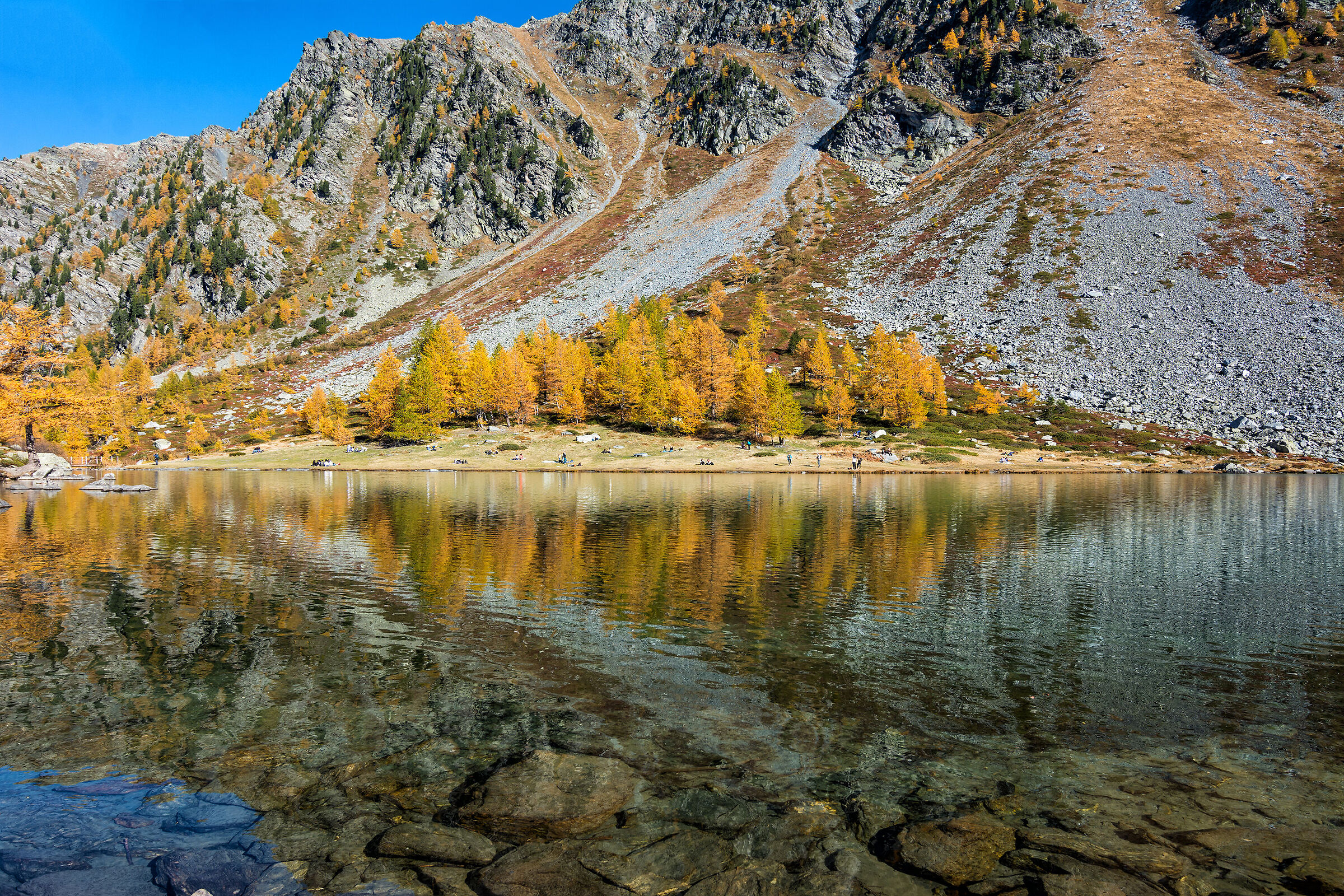 Acqua cristallina e larici