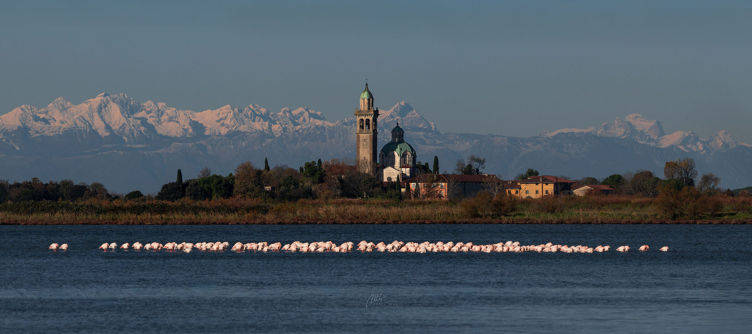il riposo dei fenicotteri