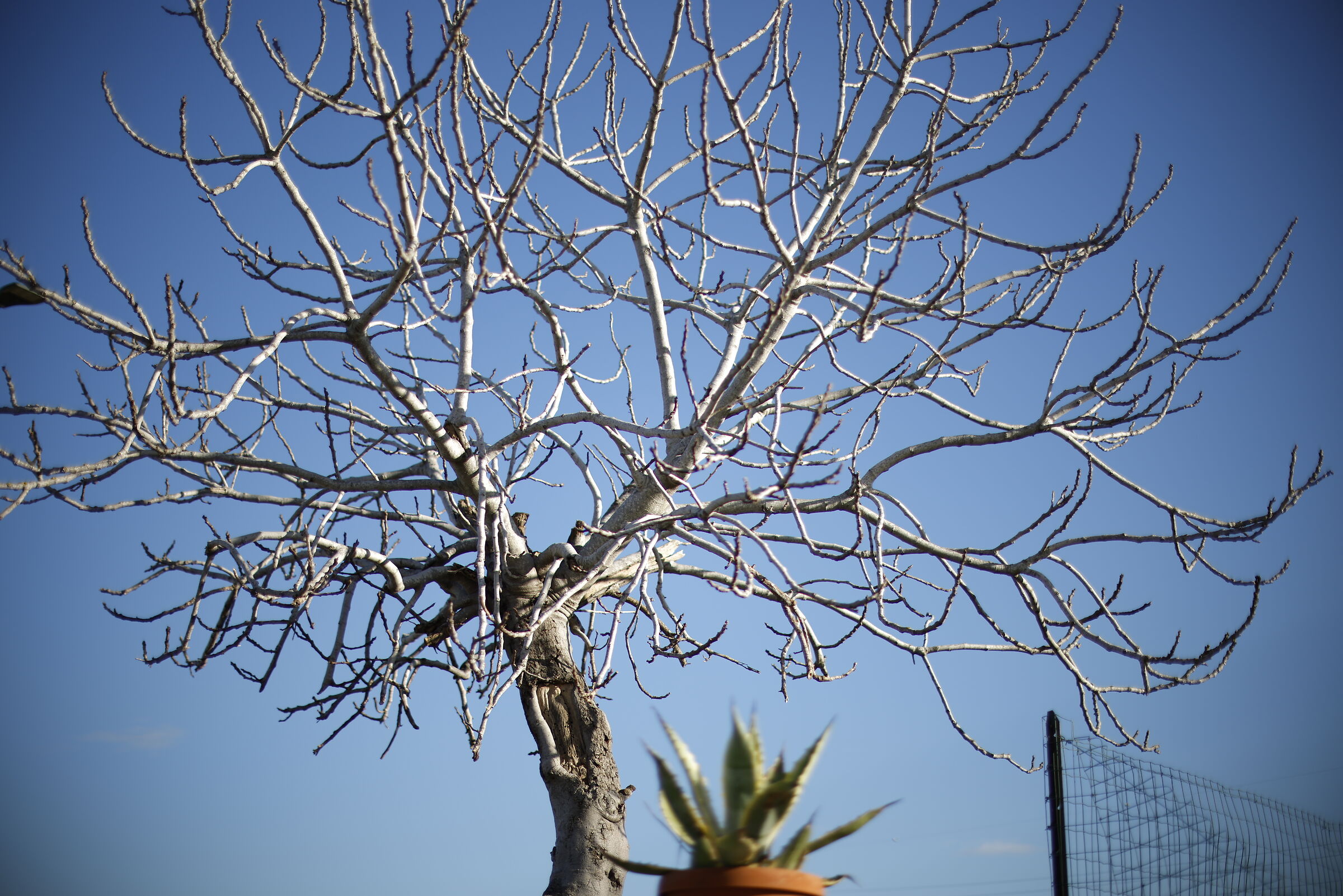 F1.2 Disabled corrections