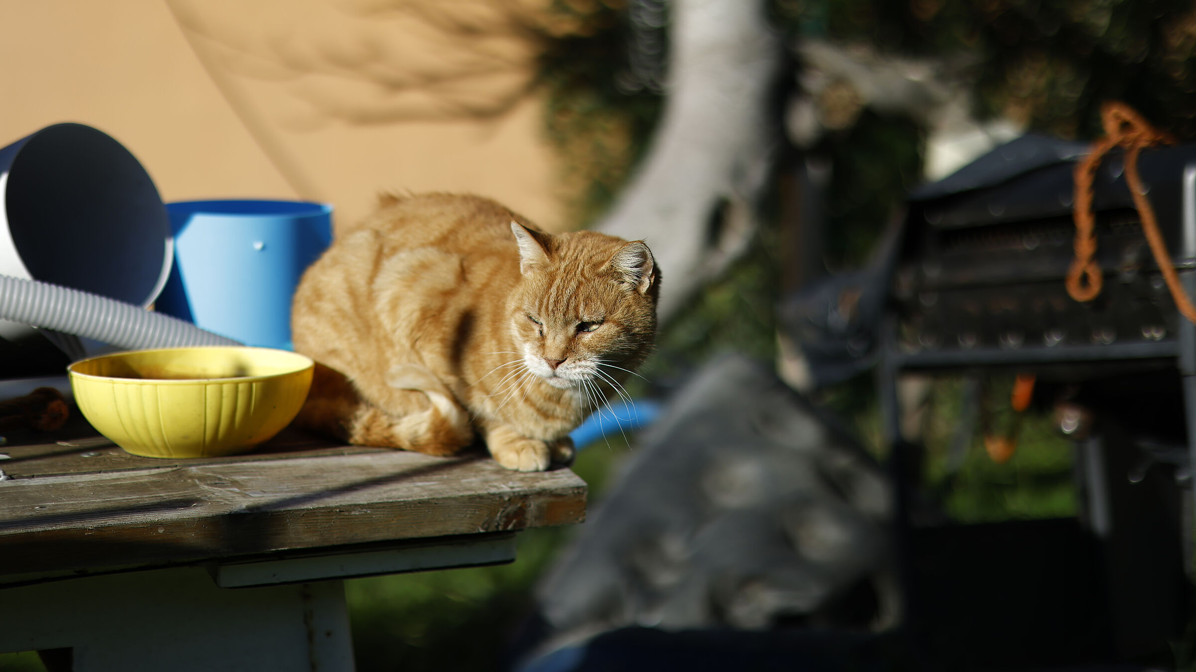 Direct JPG resized to 5120px