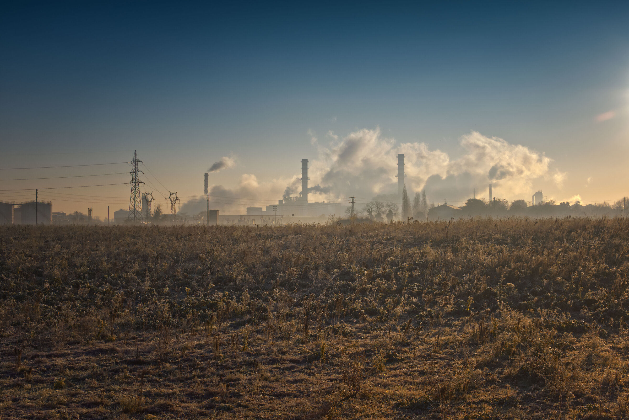 Still life... Living Industry