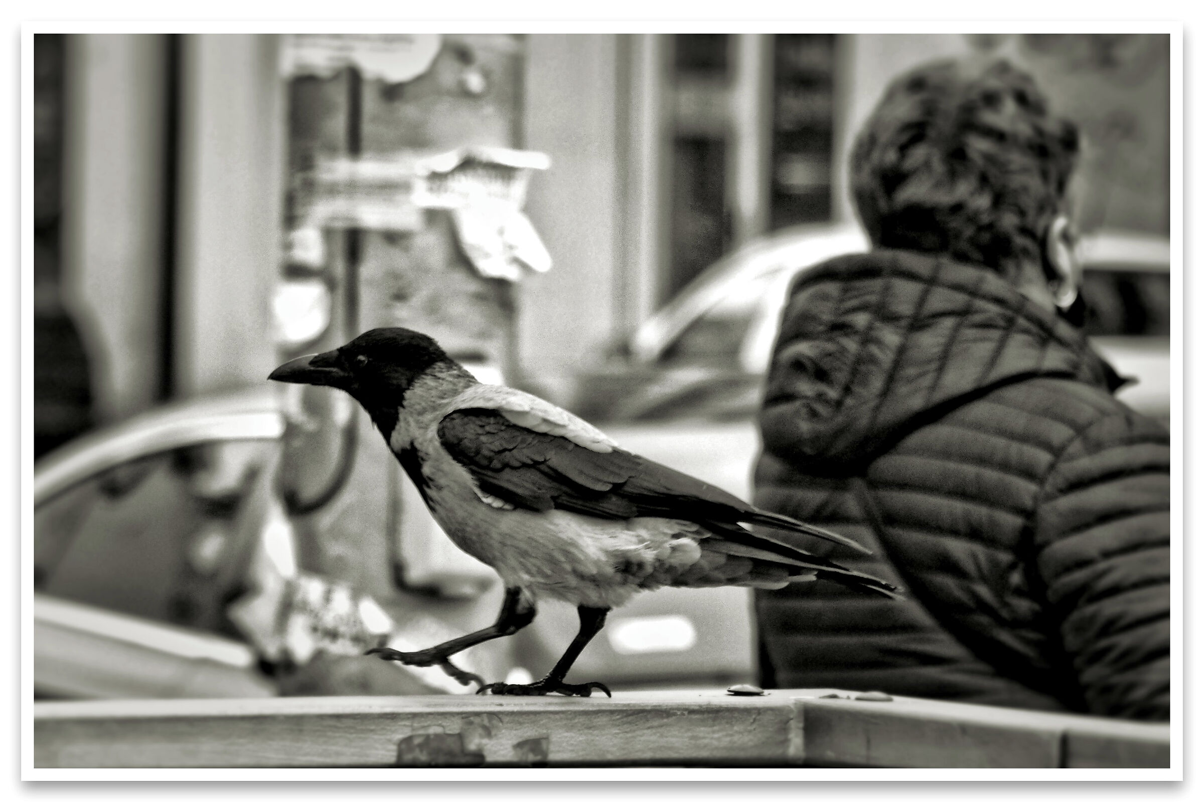 I asked about food, not money,  so why the invective...