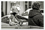 [Fotografia]