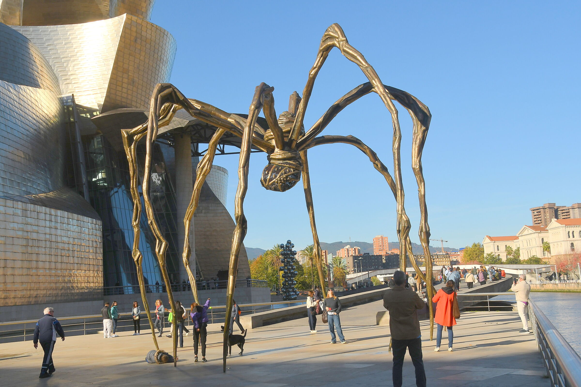Bilbao Museo di Guggenheim