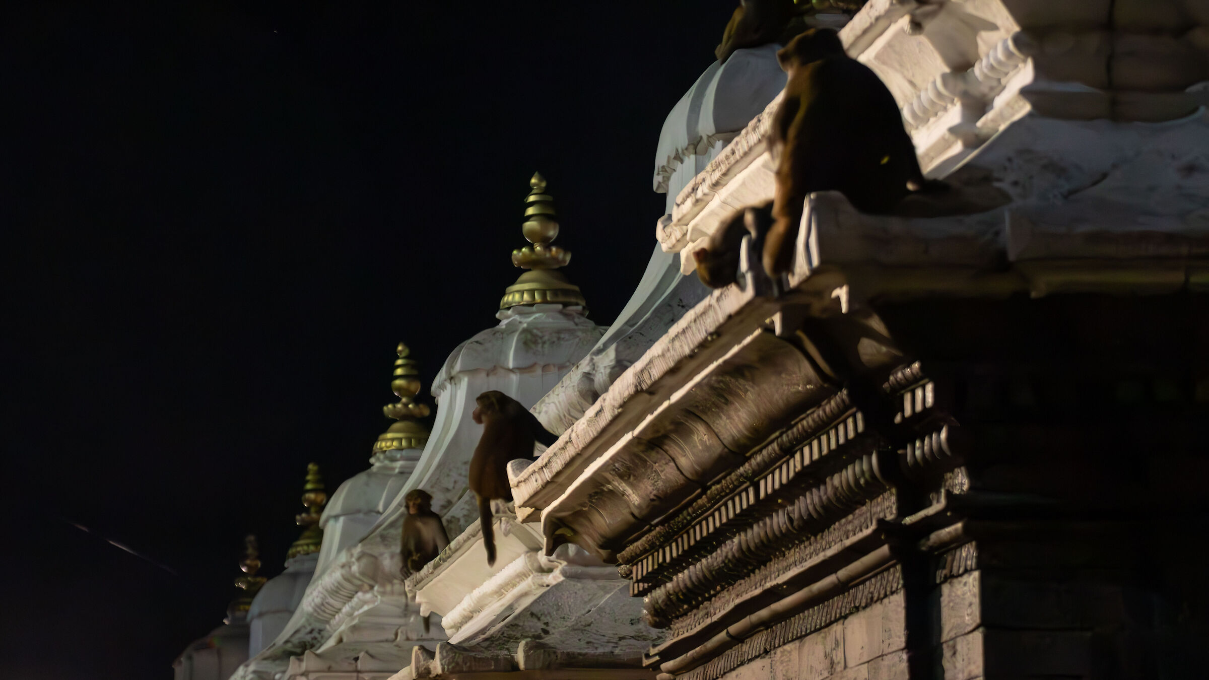 Spettatori alla preghiera a Pashupatinath