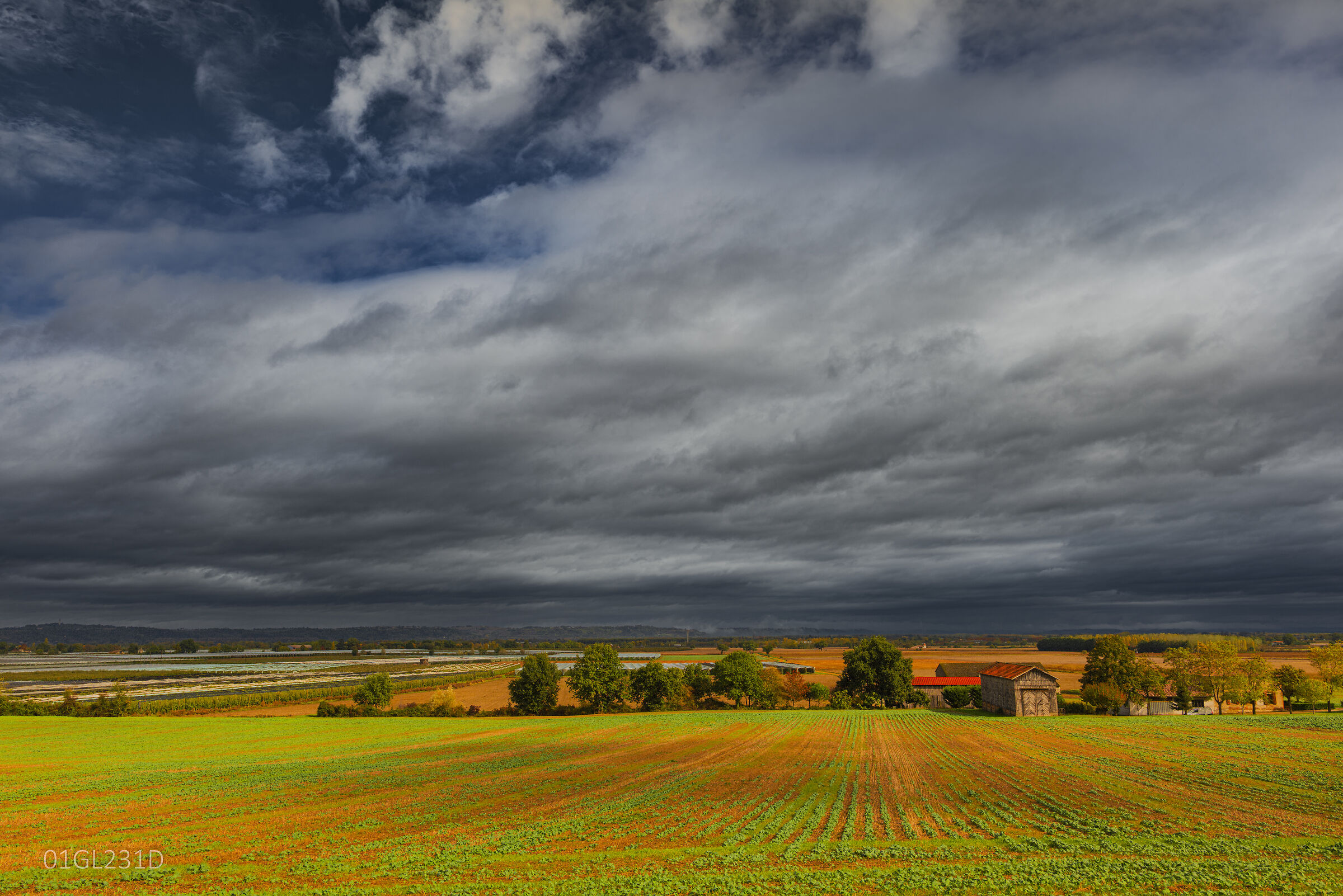 Untitled Photo