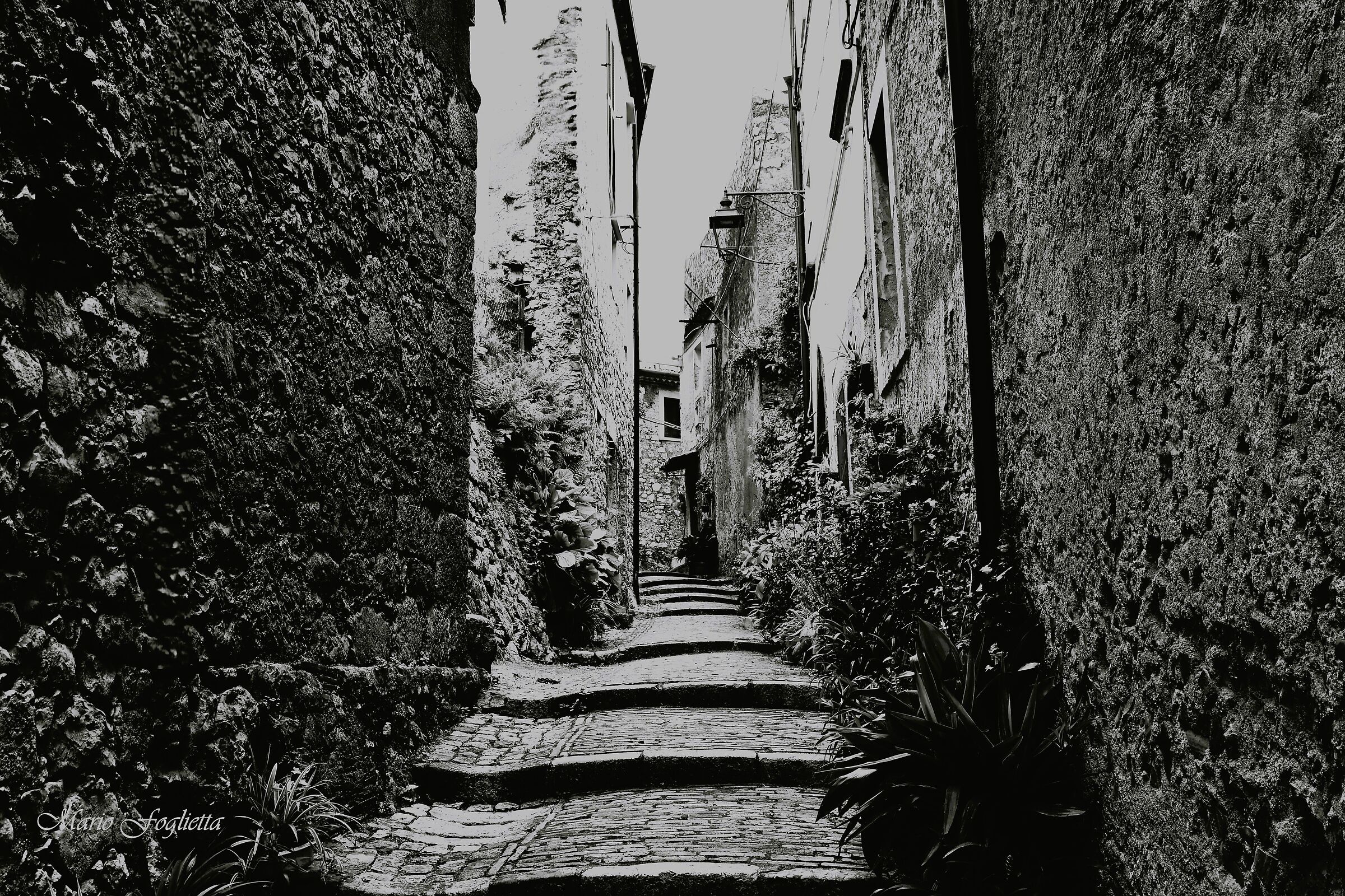 Profumo del passato