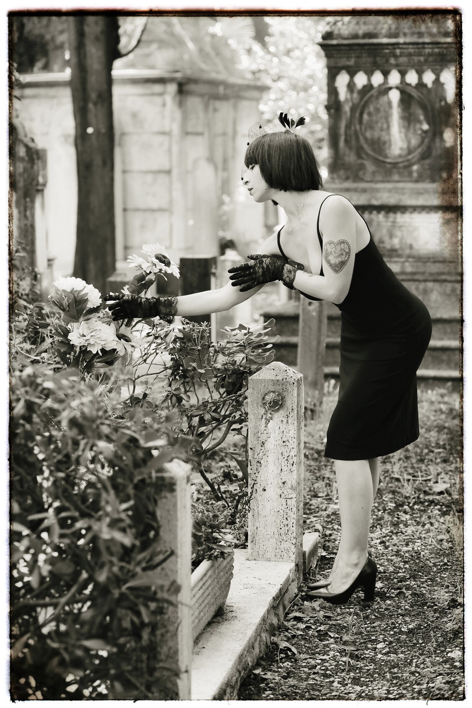 The Young Widow
